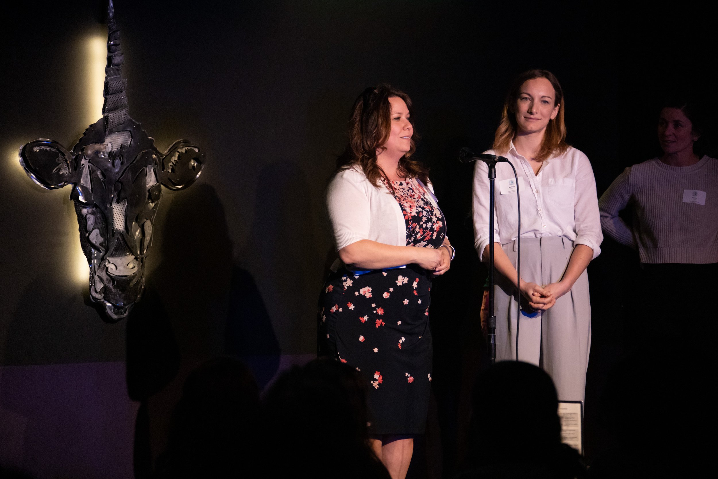 Womenpreneur Showcase May 19_4023.jpg