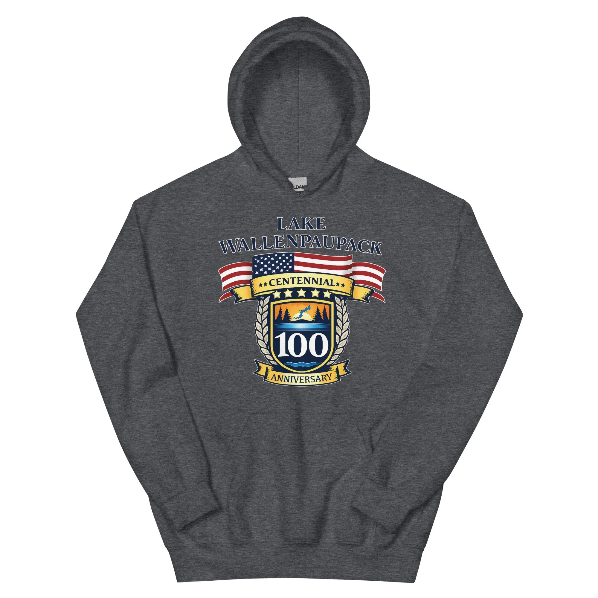 unisex-heavy-blend-hoodie-dark-heather-front-69457c996136a.jpg