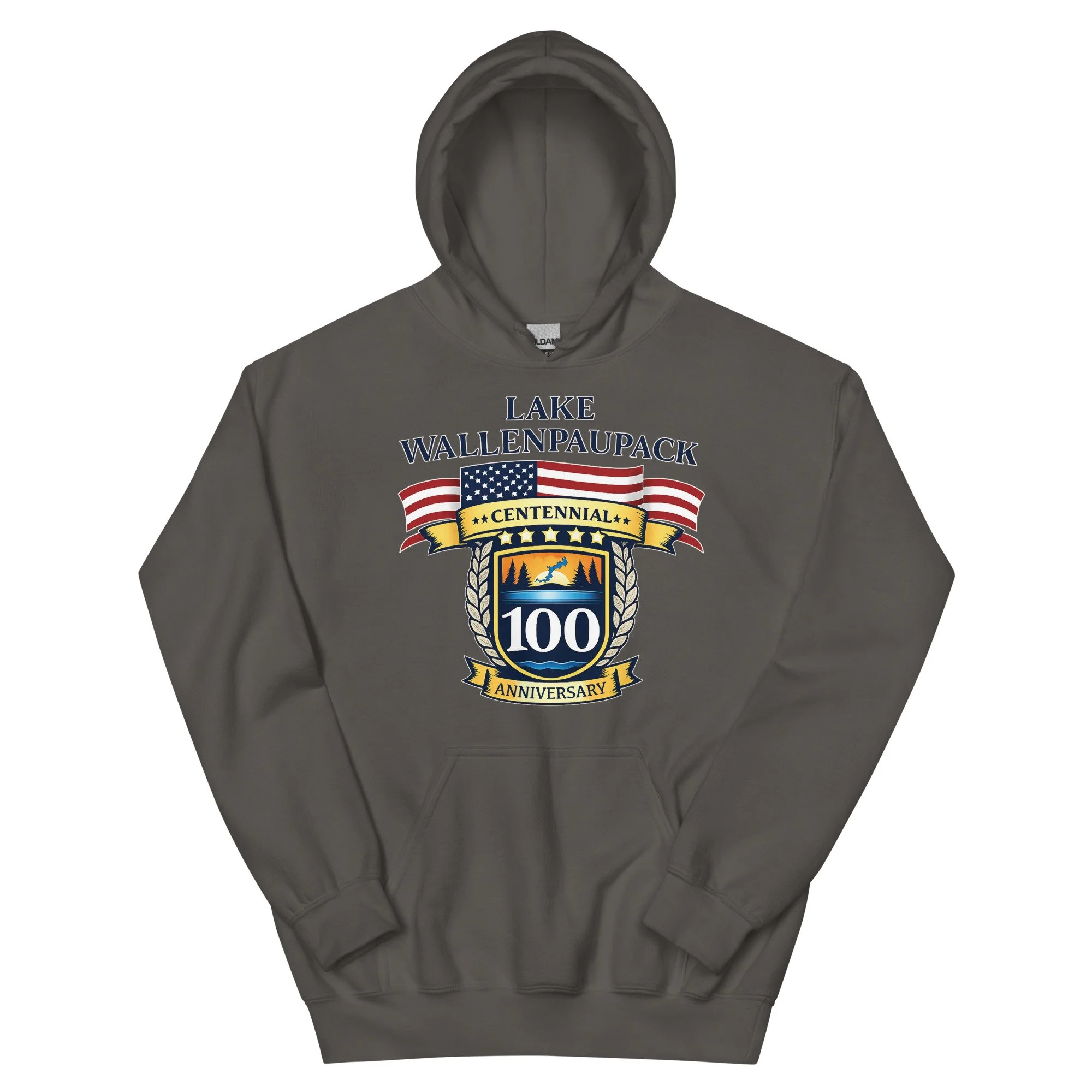 unisex-heavy-blend-hoodie-charcoal-front-69457c997234e.jpg