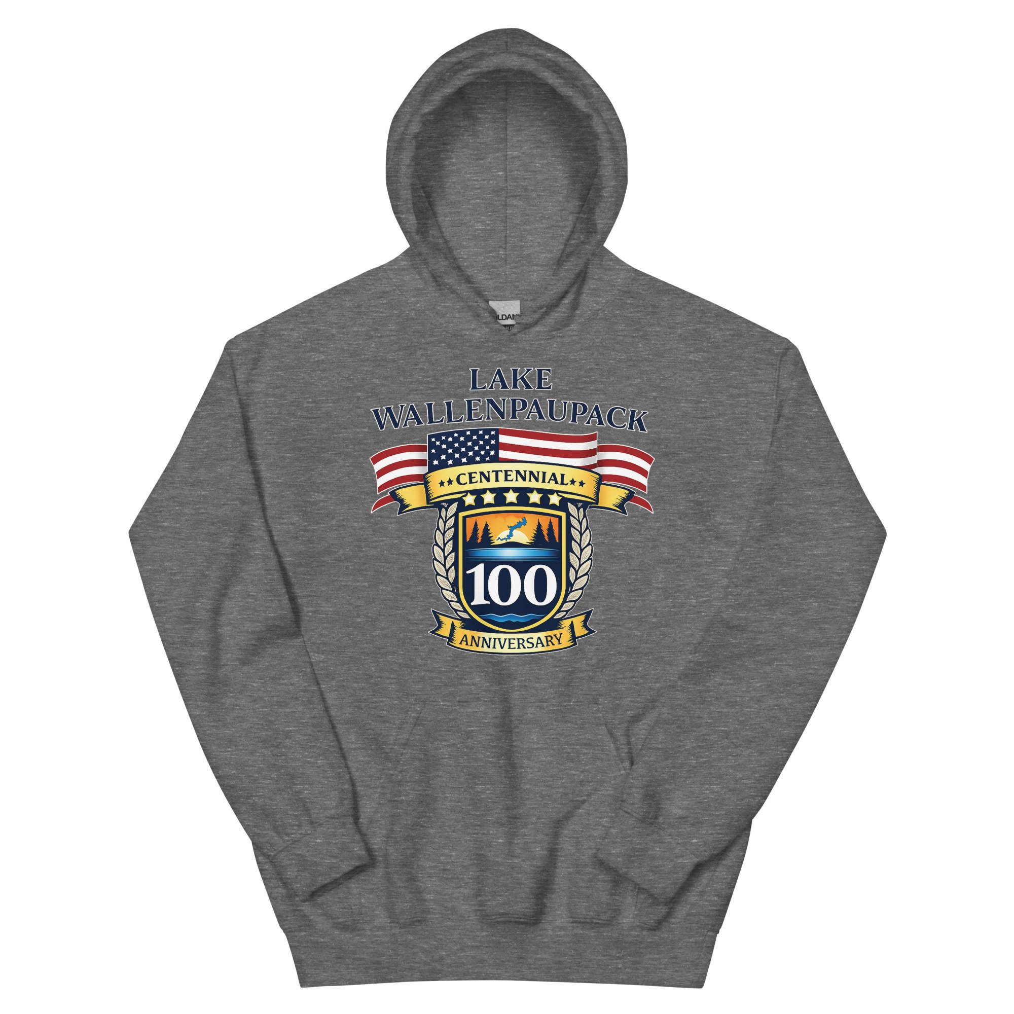 unisex-heavy-blend-hoodie-graphite-heather-front-69457c99cedce.jpg