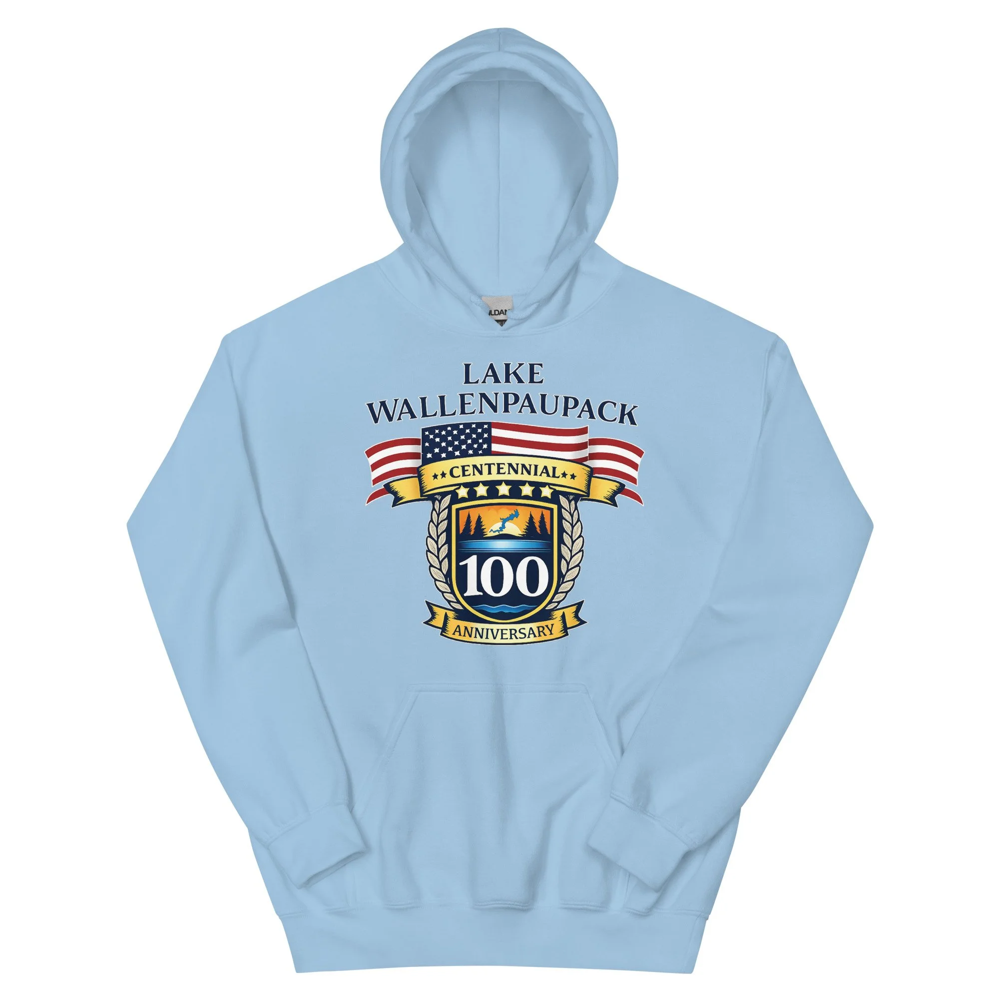 unisex-heavy-blend-hoodie-light-blue-front-69457c9a2b699.jpg