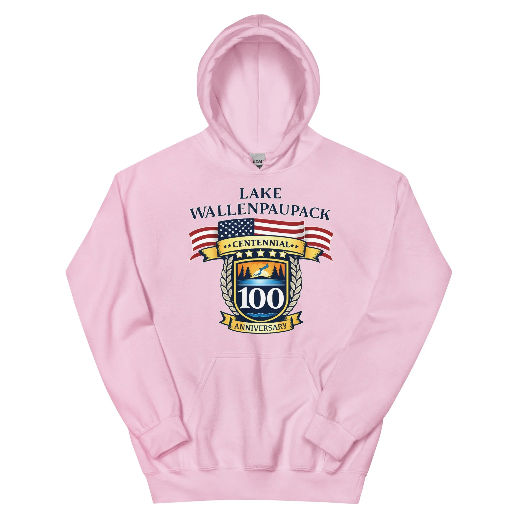 unisex-heavy-blend-hoodie-light-pink-front-69457c9a6c34e.jpg