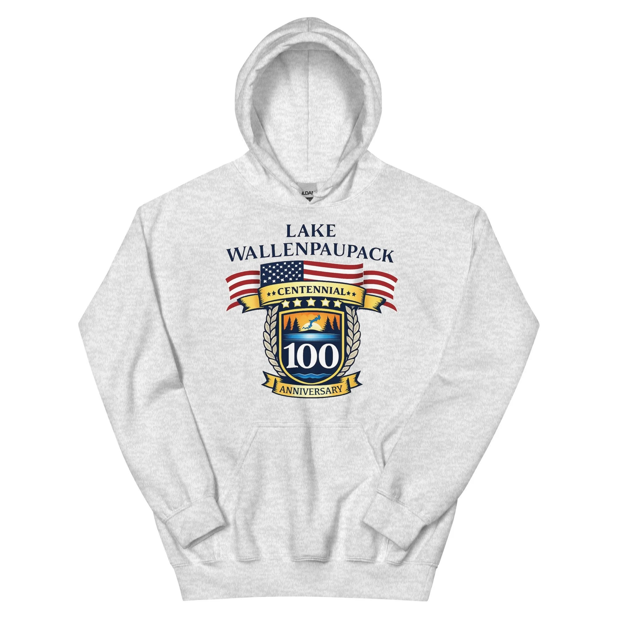 unisex-heavy-blend-hoodie-ash-front-69457c9a93506.jpg
