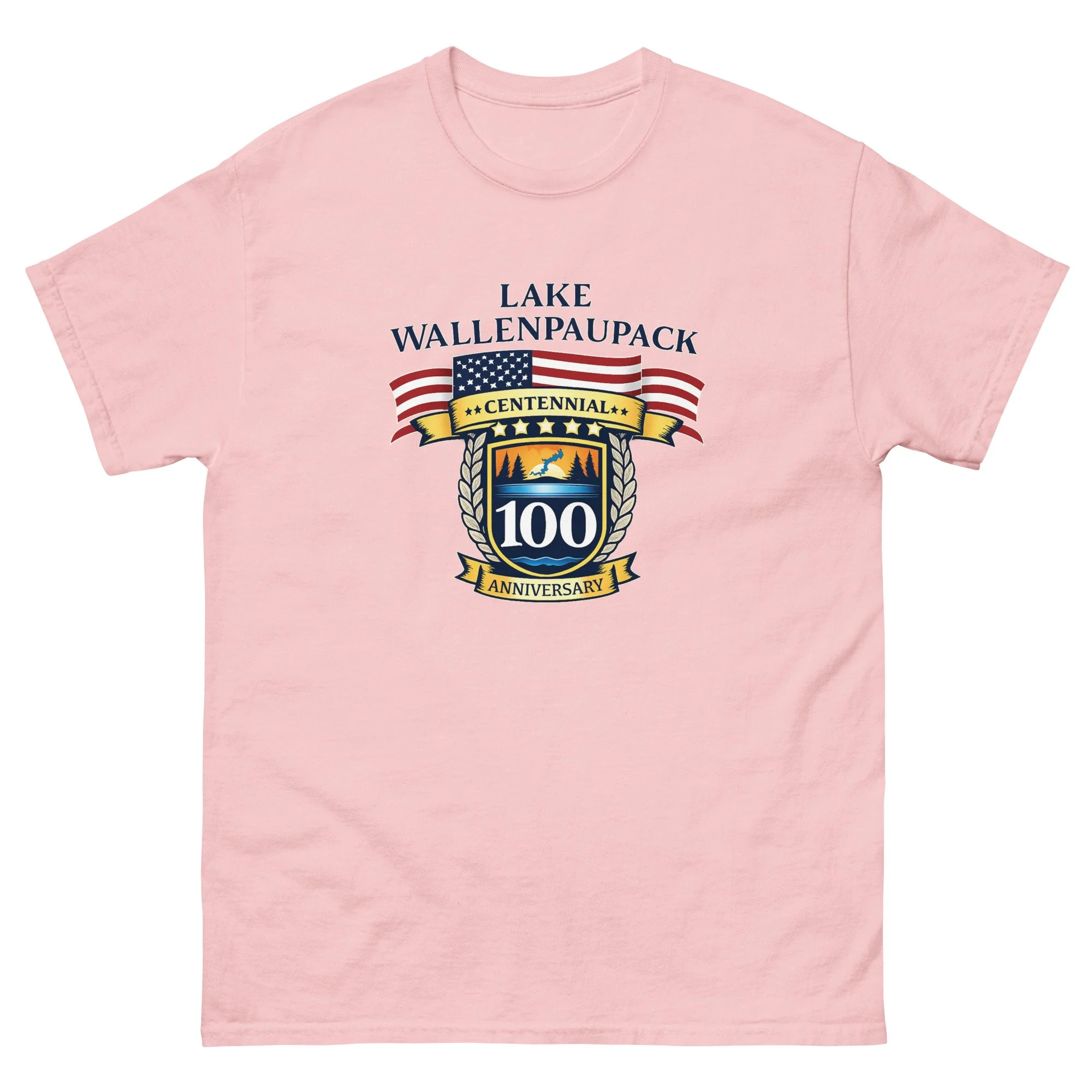 unisex-classic-tee-light-pink-front-69457cf8bd119.jpg
