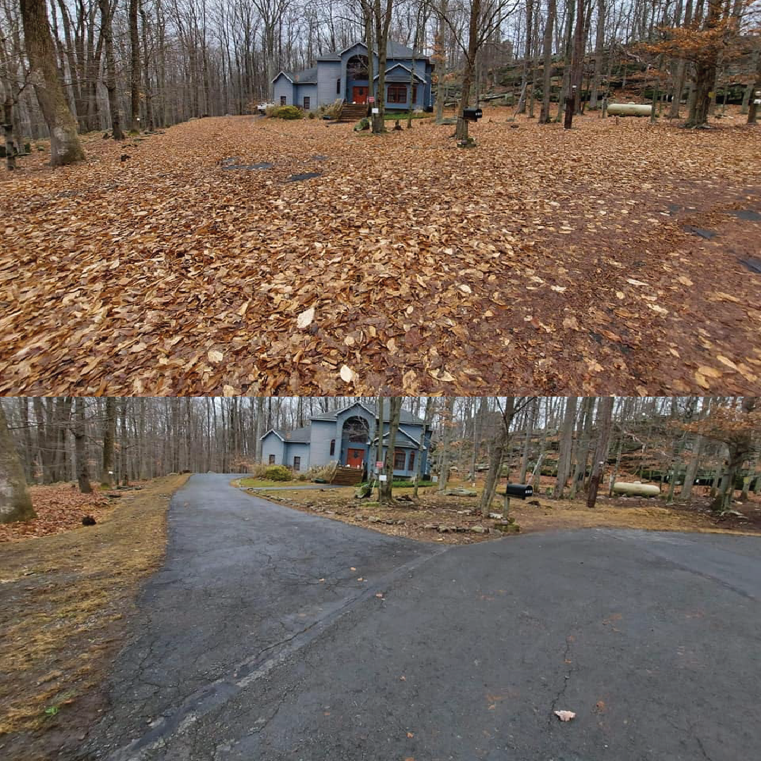 A house in a wooded area, with leaves covering the ground in the front yard, and a paved driveway leading to the house. The trees are leafless, indicating late fall or winter.