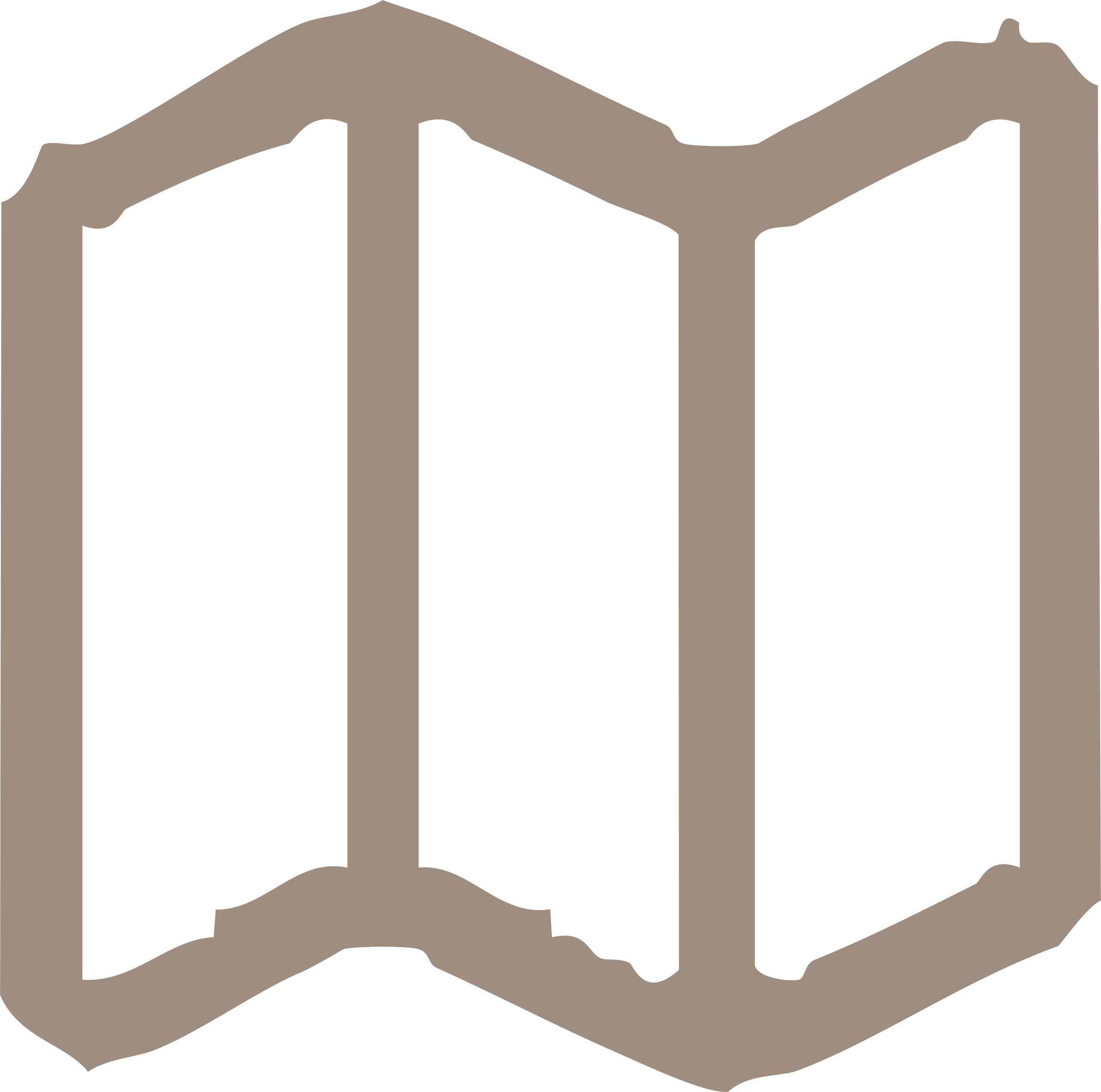 Open book or brochure with blank black pages and a brown cover.