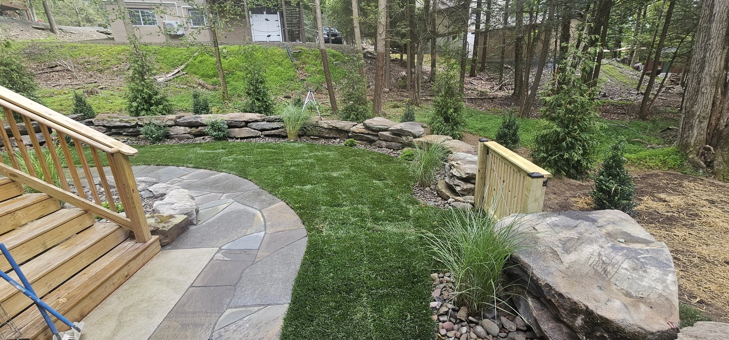 Bluestone walkway, Sod, and Boulder wall with privacy trees