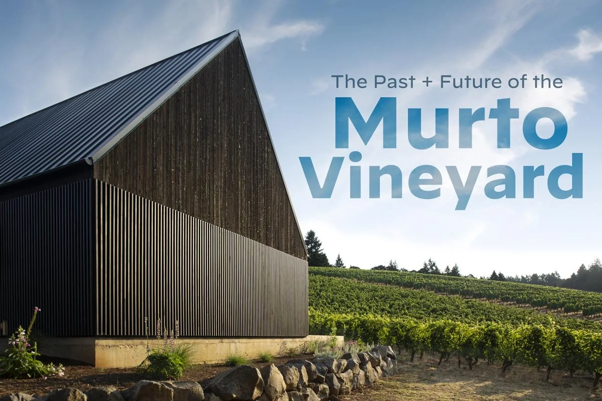 The Past and Future of the Murto Vineyard