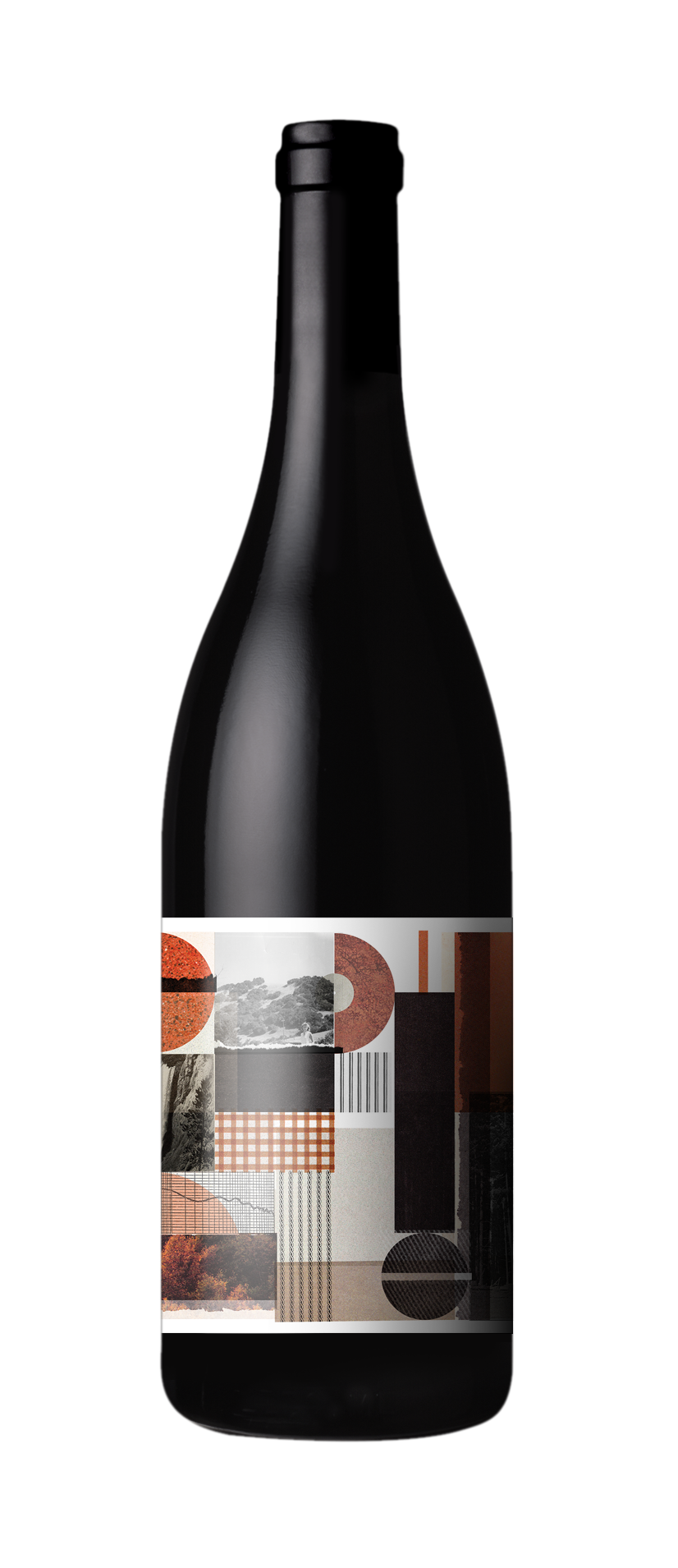 2021 Woodshed Vineyard Estate Pinot Noir wine bottle