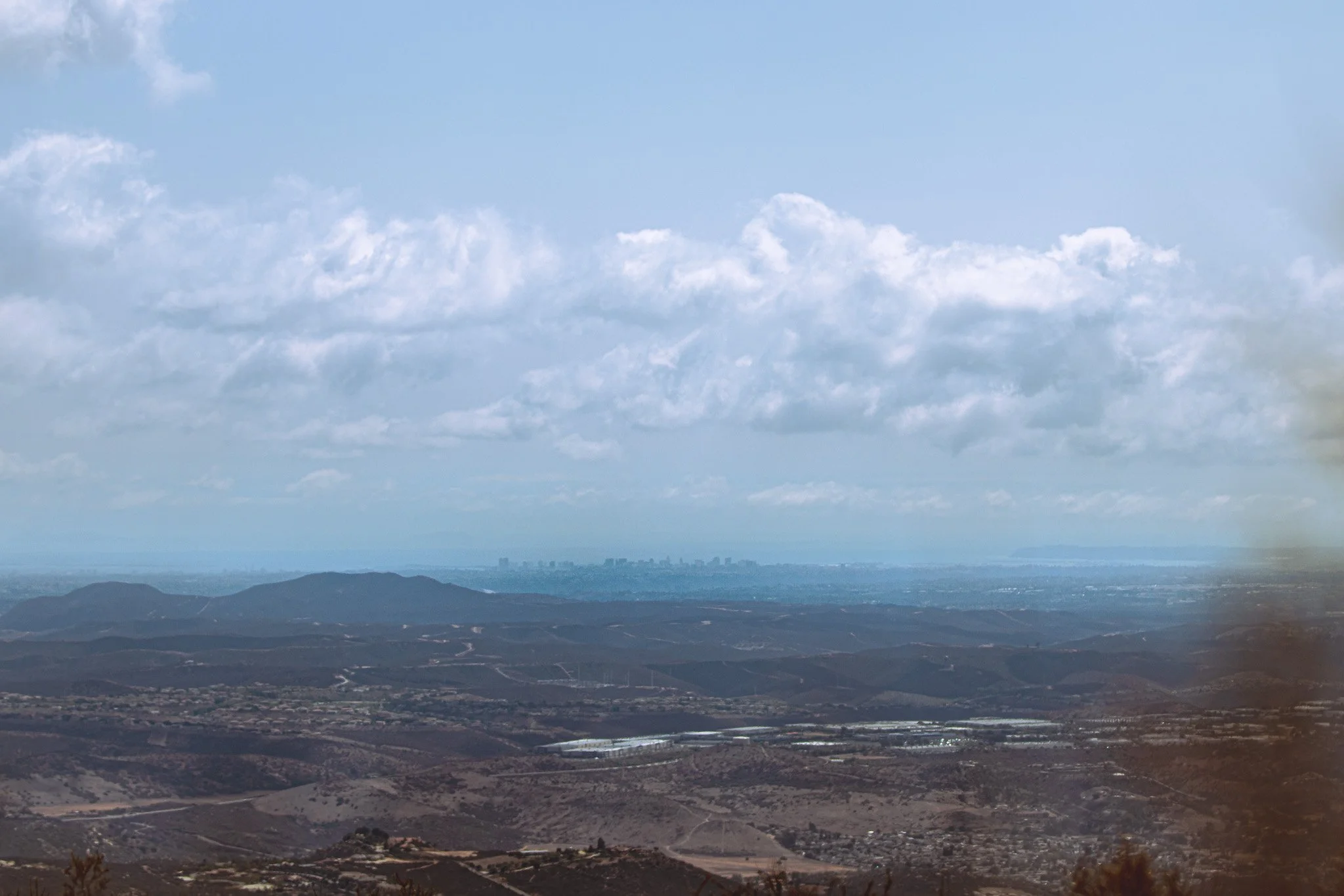 _MG_2879.jpg