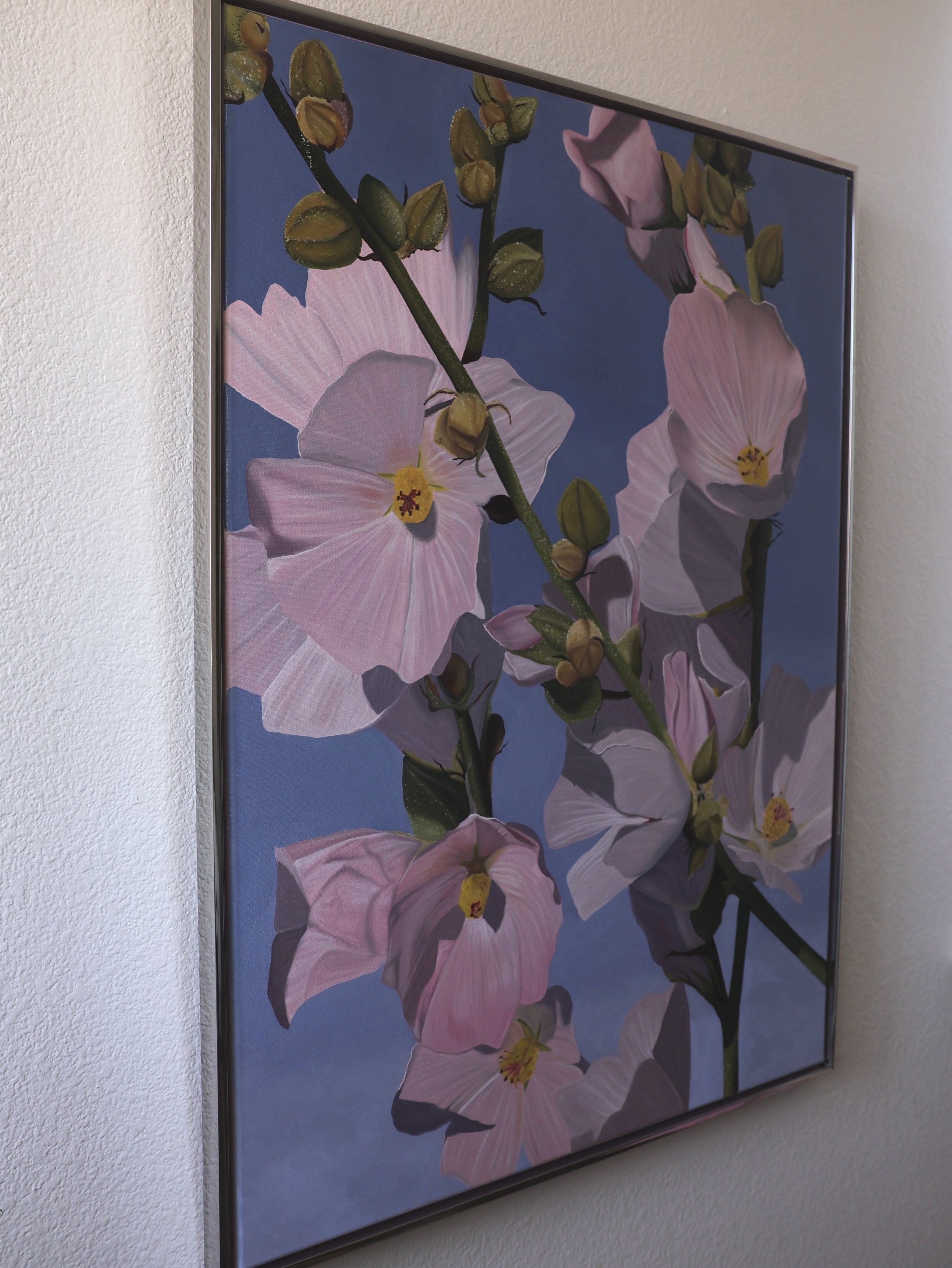 Rose-globemallow-angle.jpg