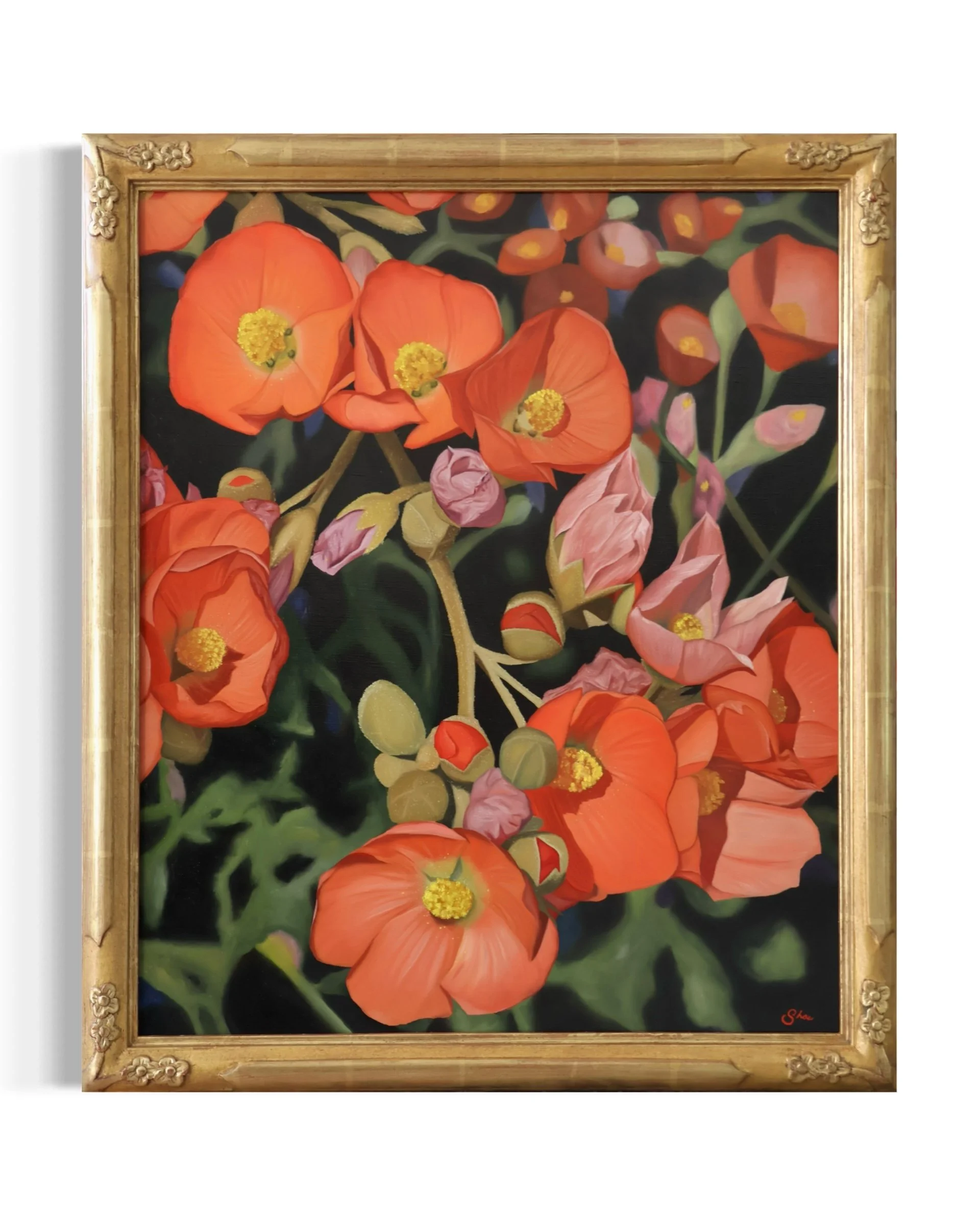 Mojave Mallow 24x20"