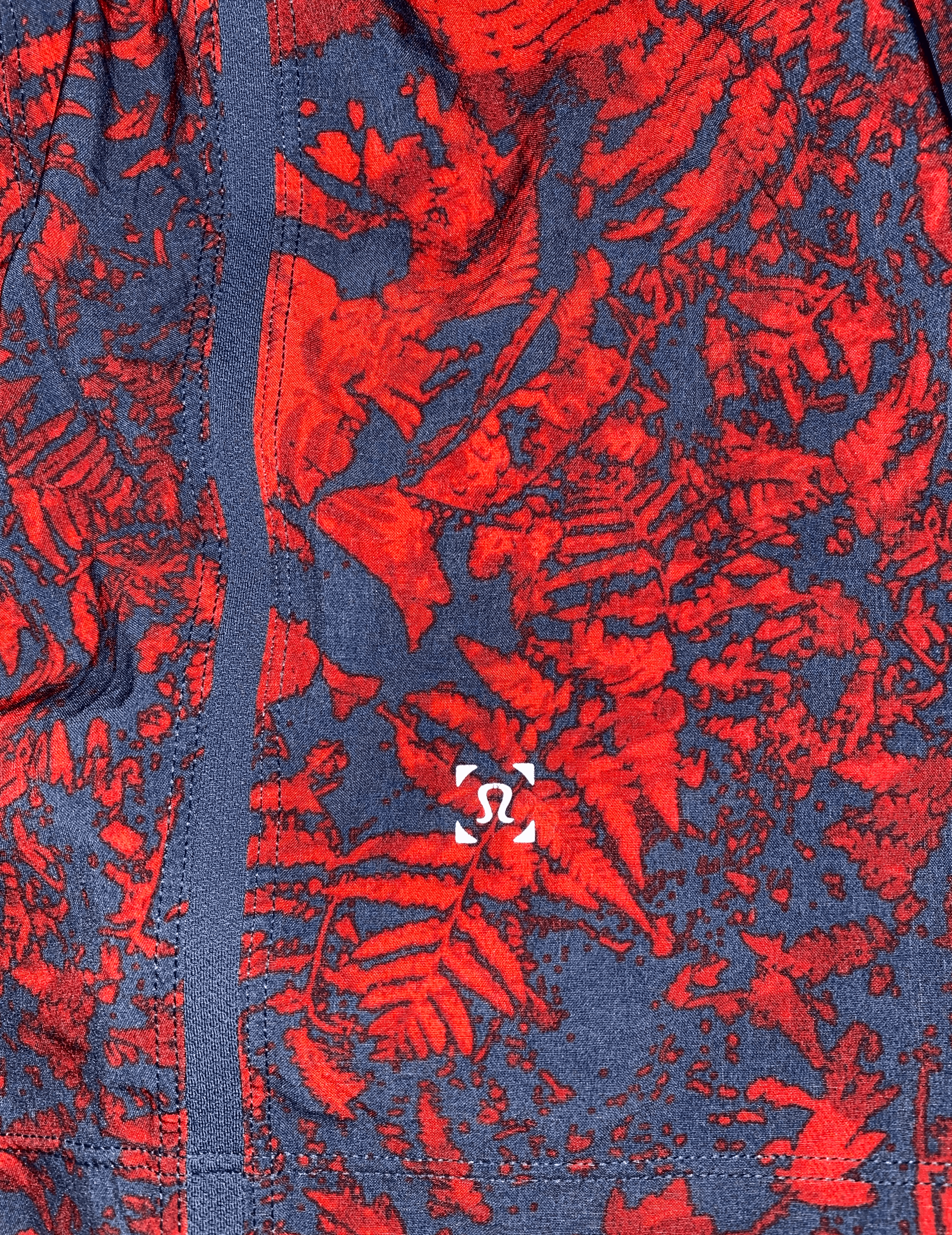 pacefern2.png