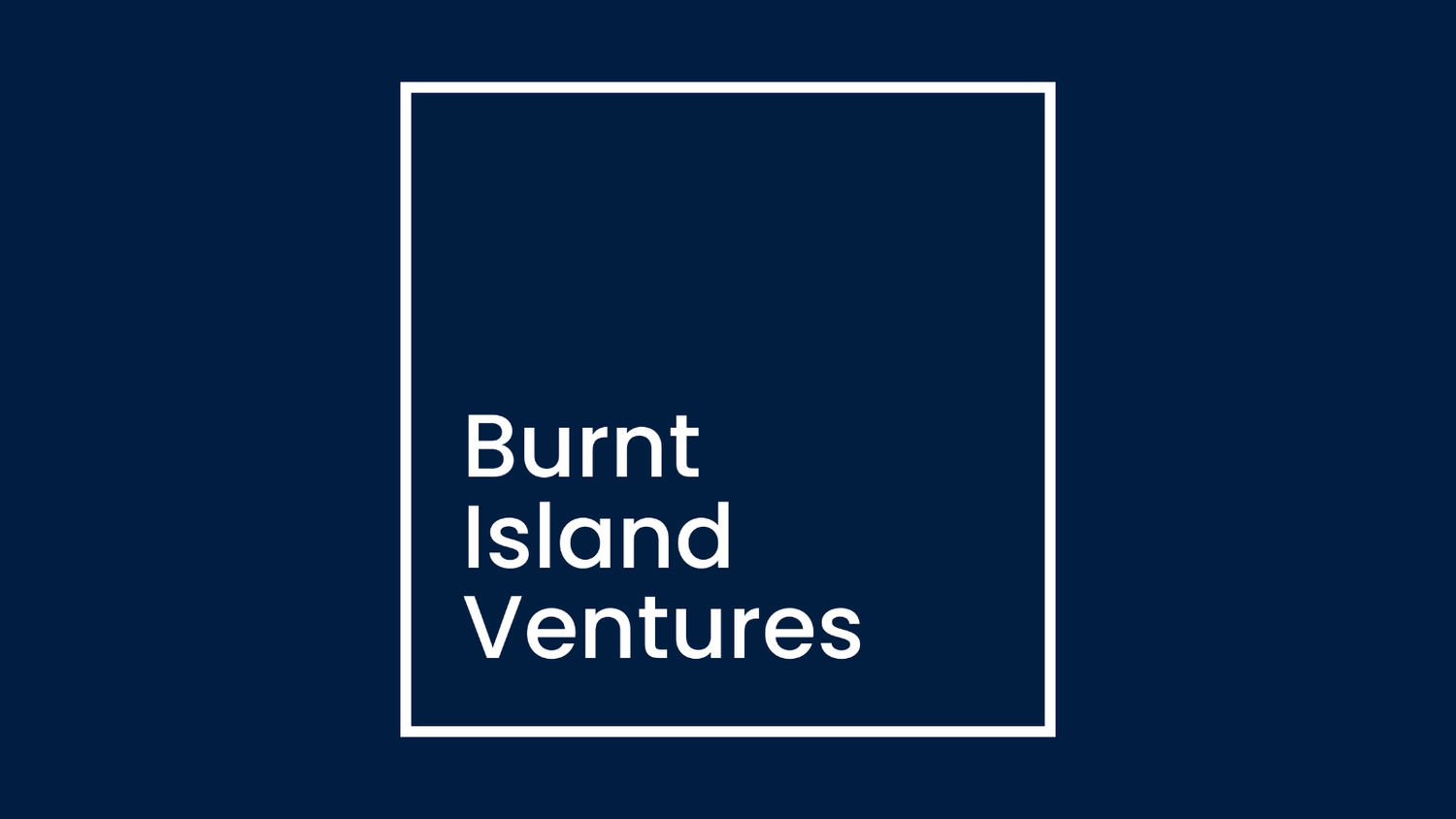 Burnt Island Ventures logo.jpeg