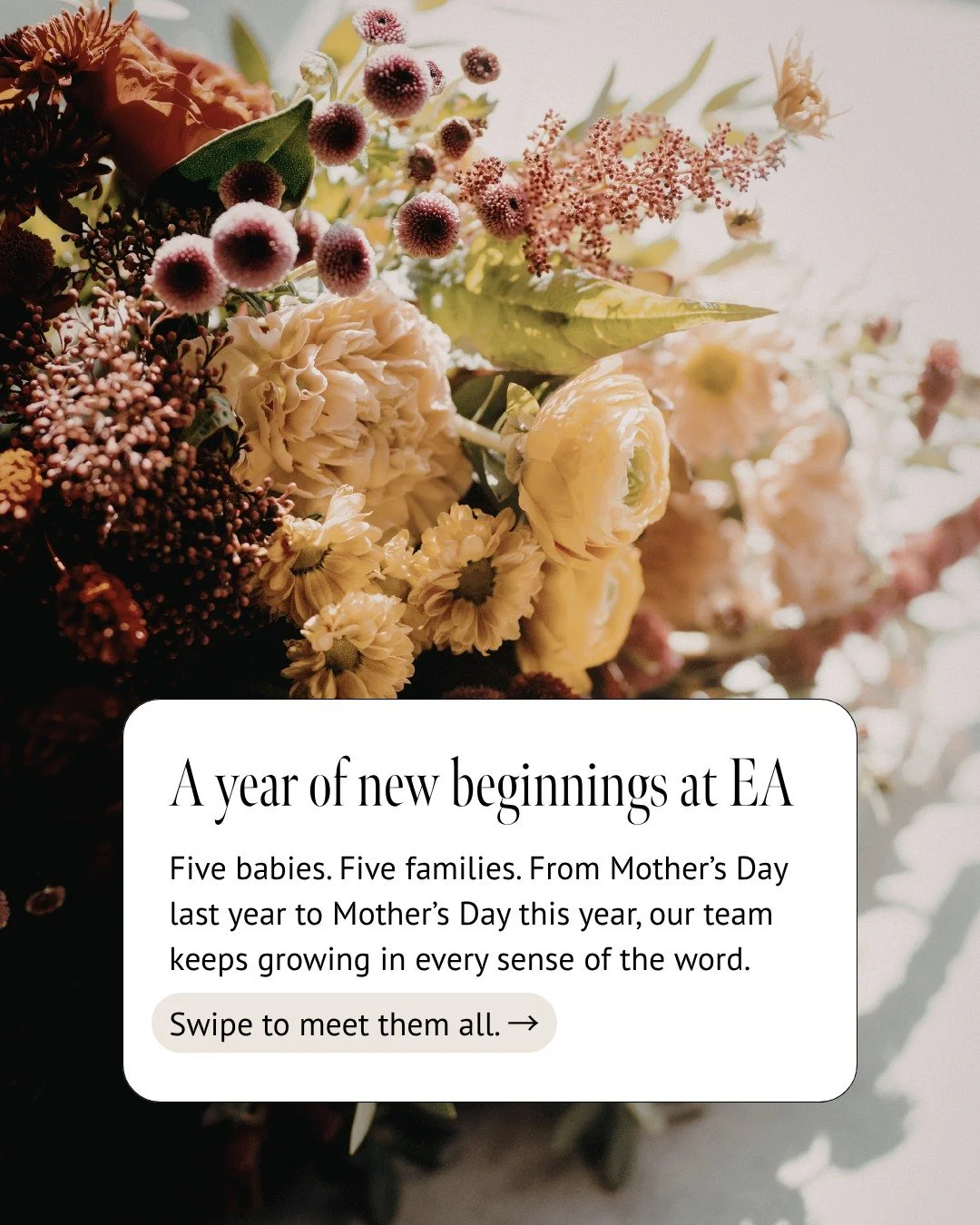 This past year, our team grew in the most meaningful way. 

New babies, growing families, and so many moments that brought us closer, both within our team and with the clients we care for every day. 

Behind every appointment, every conversation, the