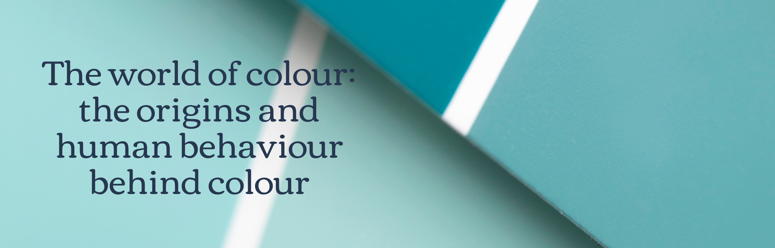 The world of colour: the origins and human behaviour behind colour.