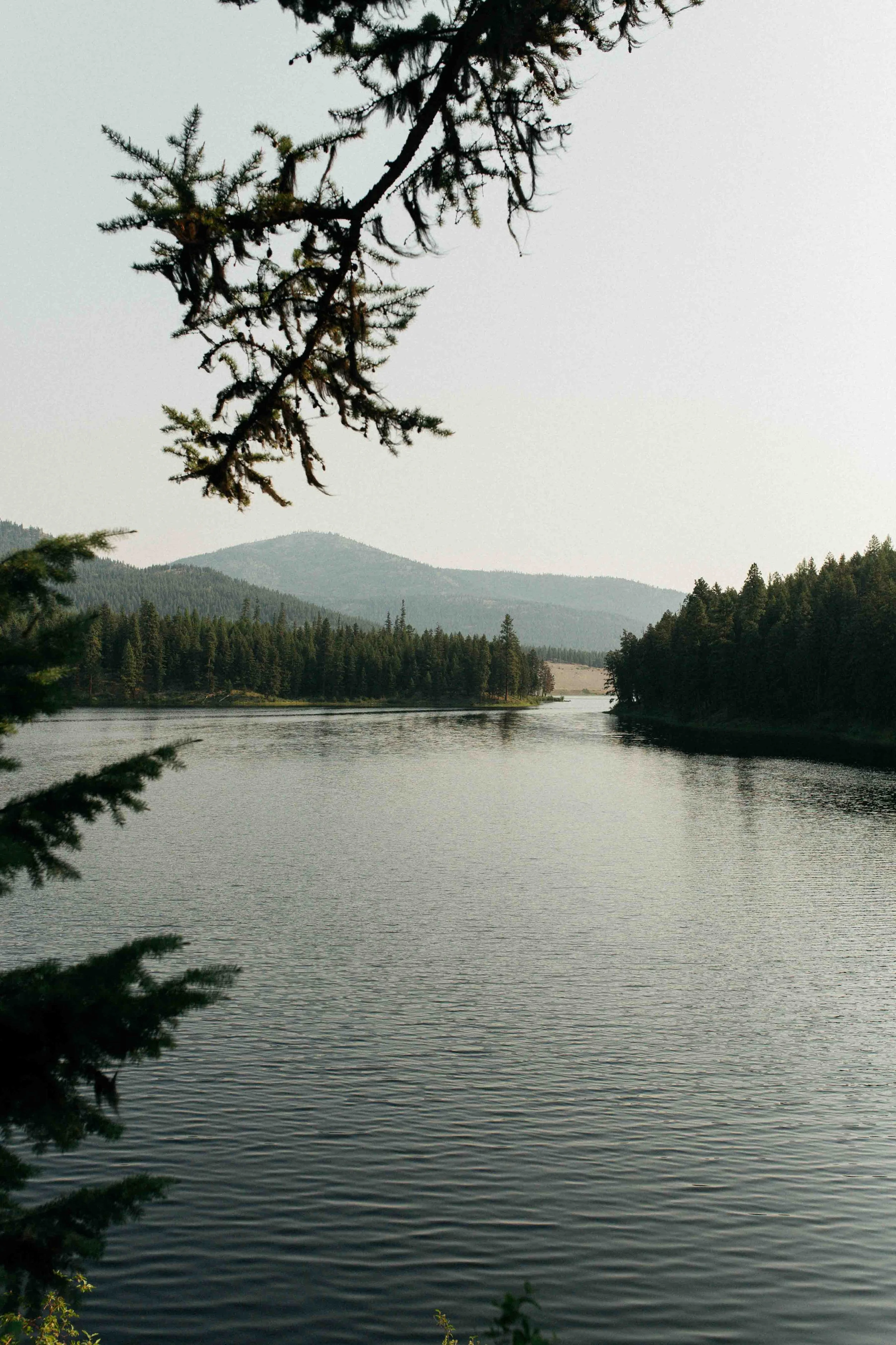 IMG_6567.jpg