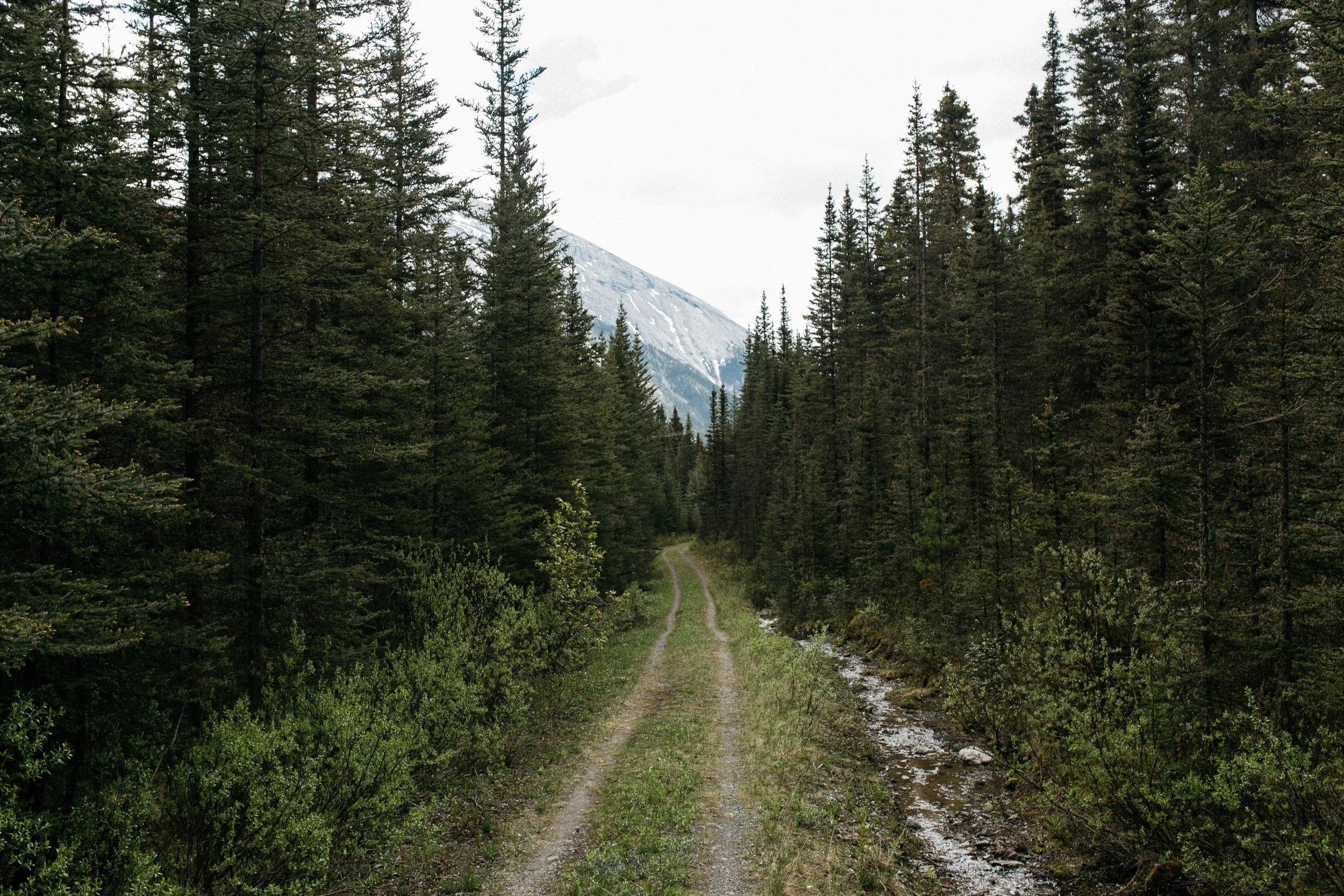 IMG_9903.jpg
