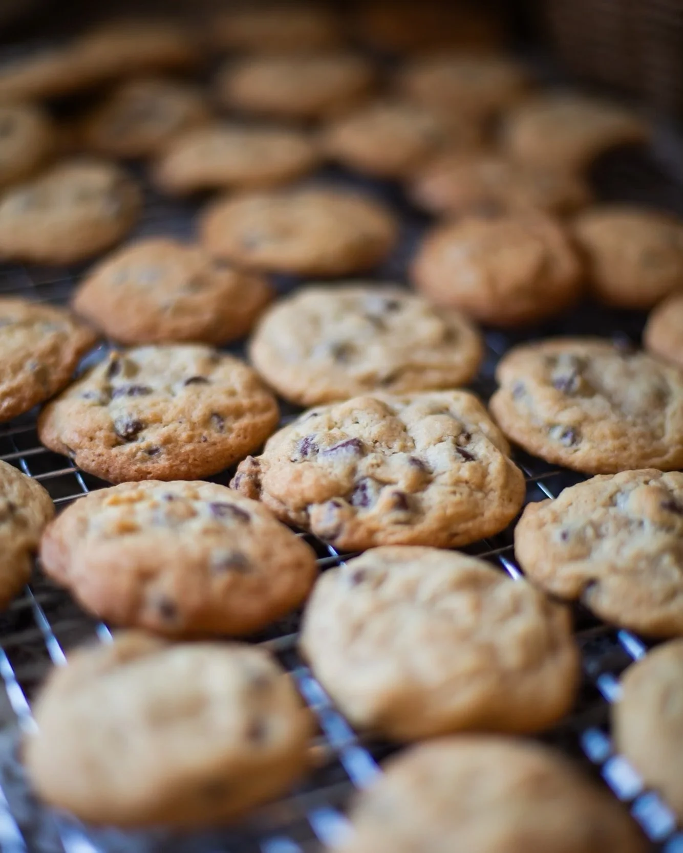The smell of freshly baked chocolate chip cookies. Like coming home on a winter evening and your mom baked cookies for your arrival 🍪 coming home is so sweet.