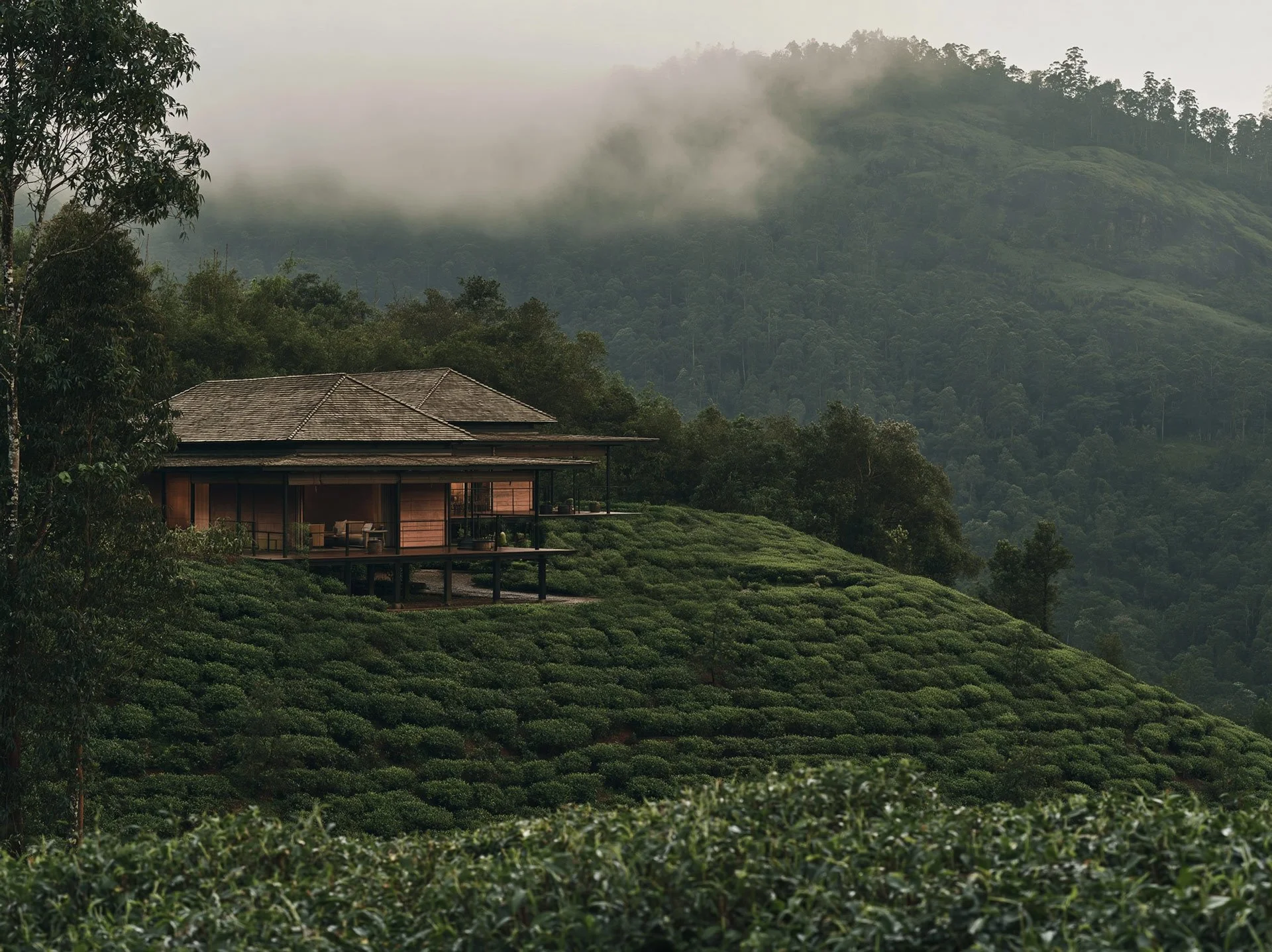 Tea_Cliff_villa_architecture_sri-lanka_mad_a-designstudio_17_s.jpg