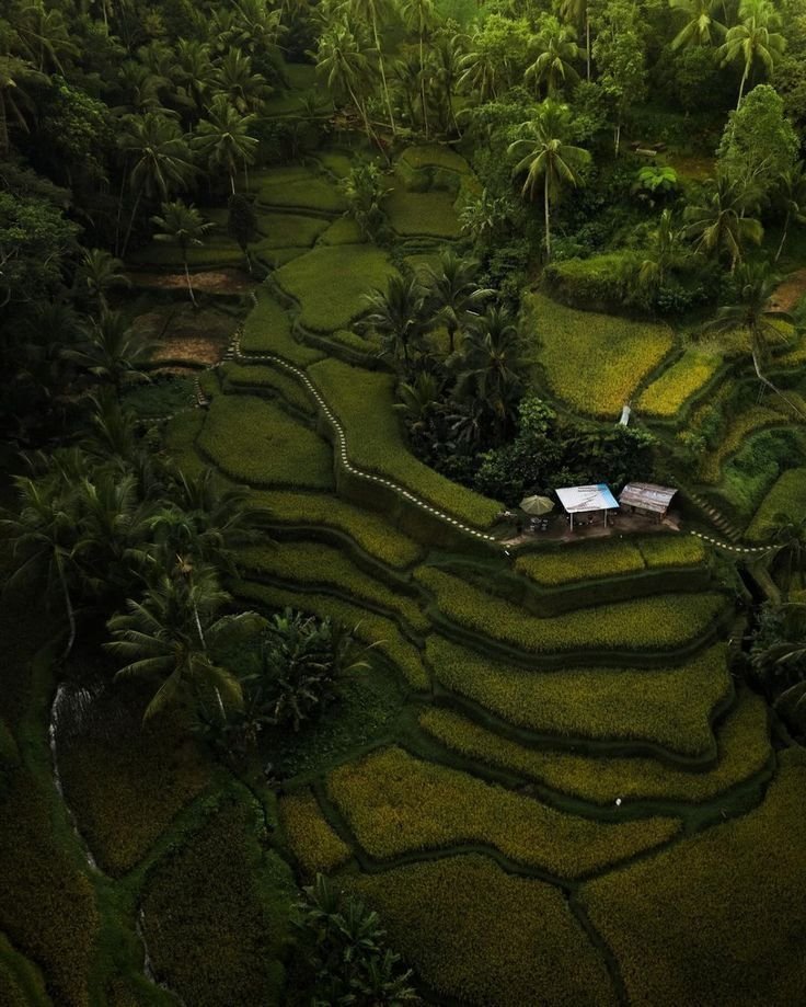coconut-house_architecture_sri-lanka_mad_a-designstudio_10.jpg