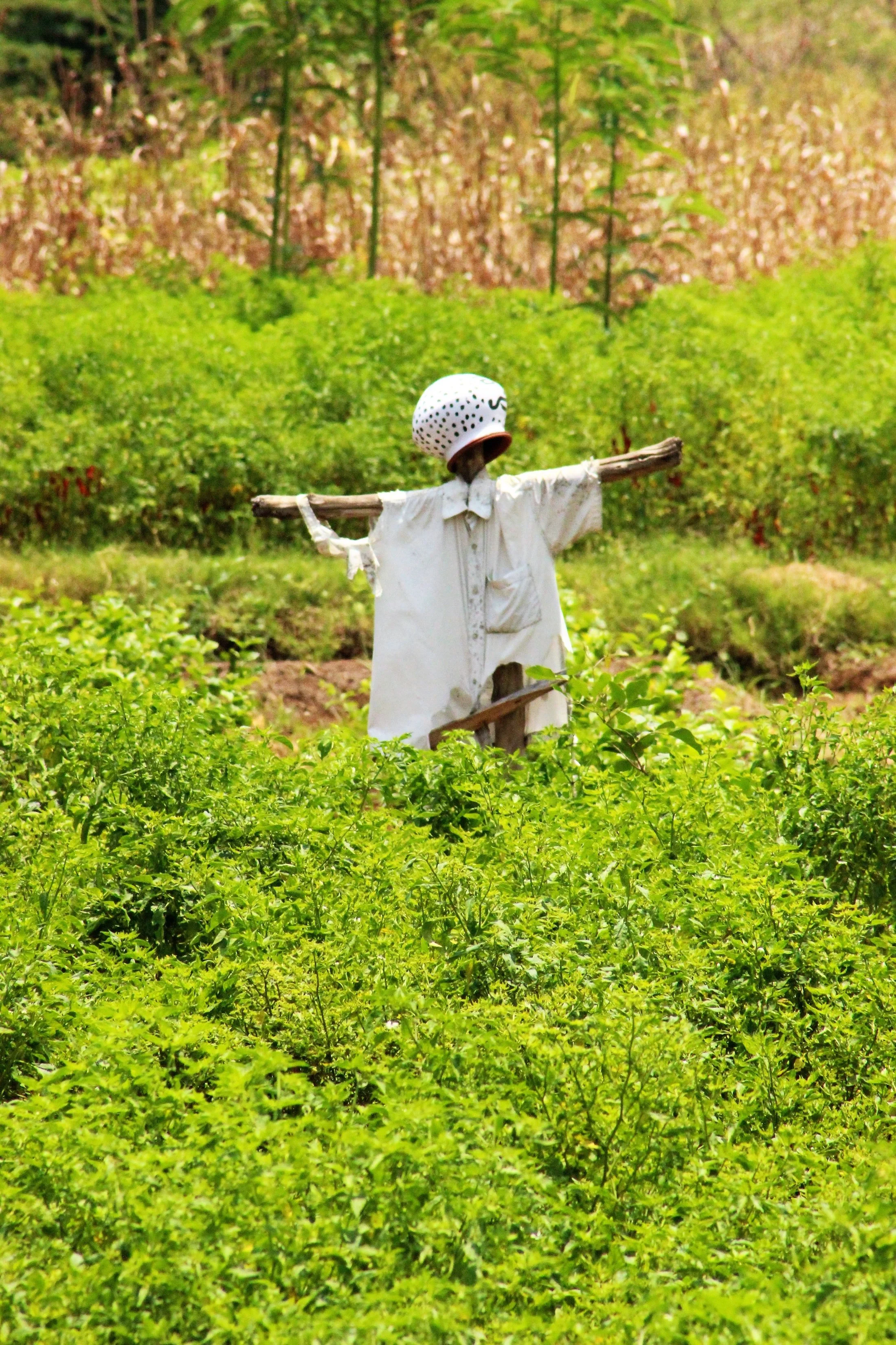 Go back to Imprez Studios homepage