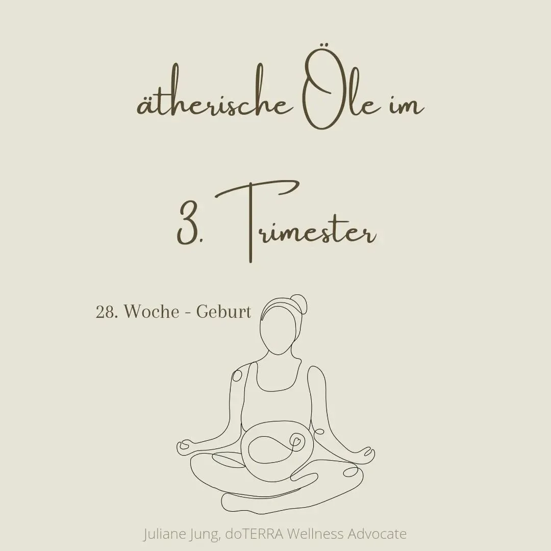 &Auml;THERISCHE &Ouml;LE IM 3. TRIMESTER 🤰🏼✨️

Habe mit Schrecken festgestellt, dass ich euch noch Teil drei der &quot;&Ouml;le in der Schwangerschaft&quot; schuldig bin 😉

Im dritten Trimsester wird es mit zunehmendem Bauchumfang wieder beschwerl