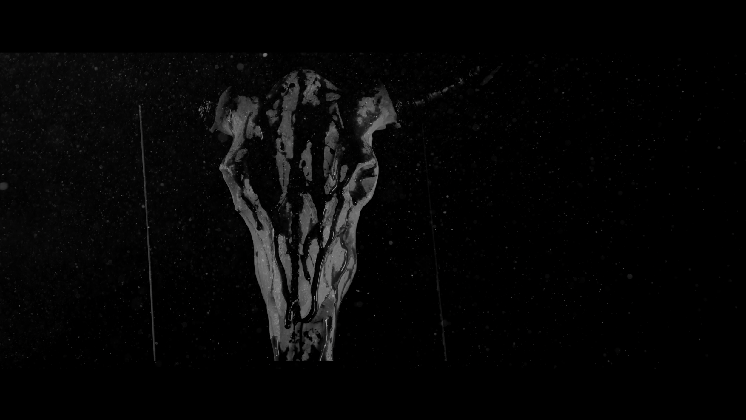 The Briar and The Rose - 2026 ( Teaser)