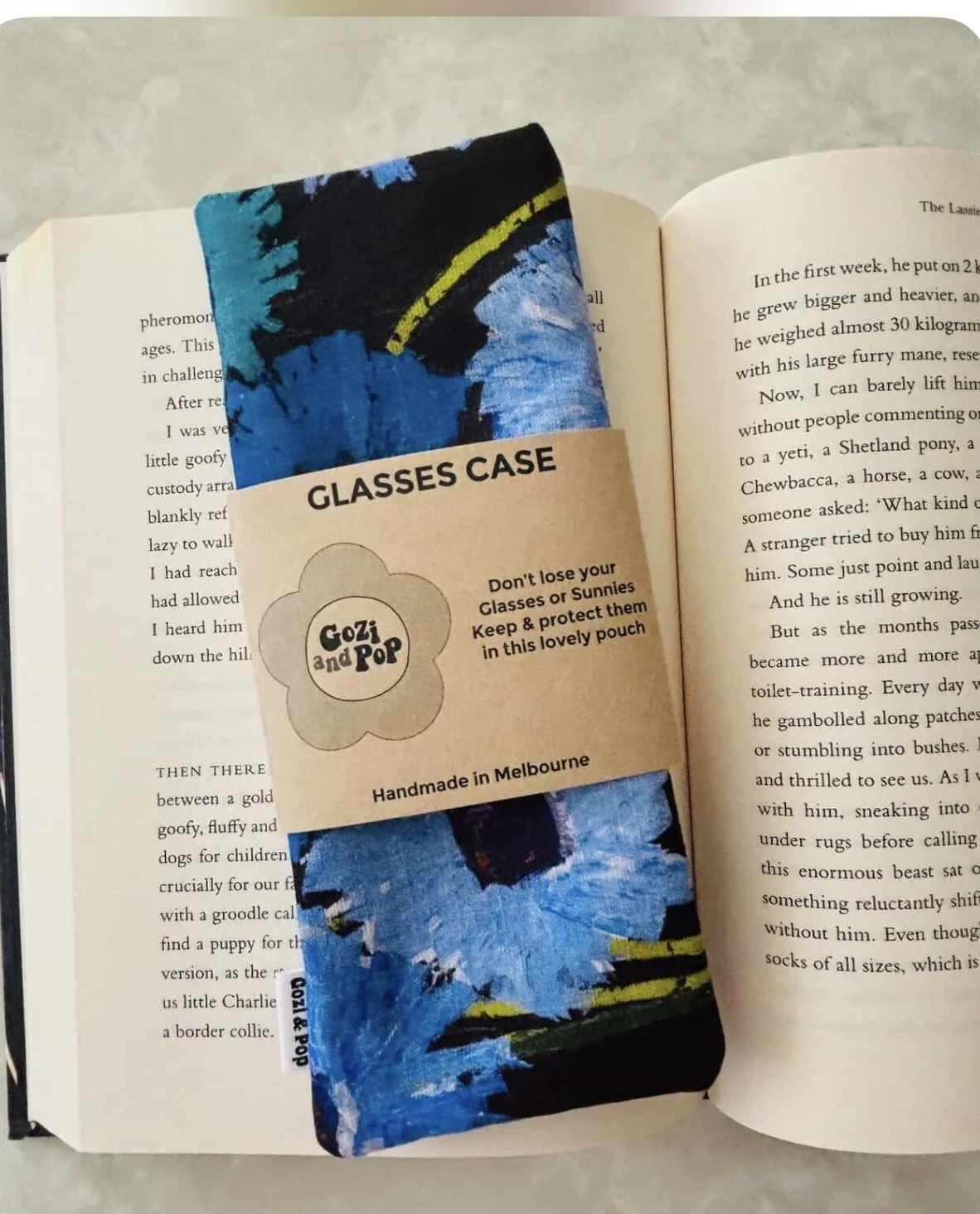 NEW Anna Blatman Foster  Sunglass Pouch