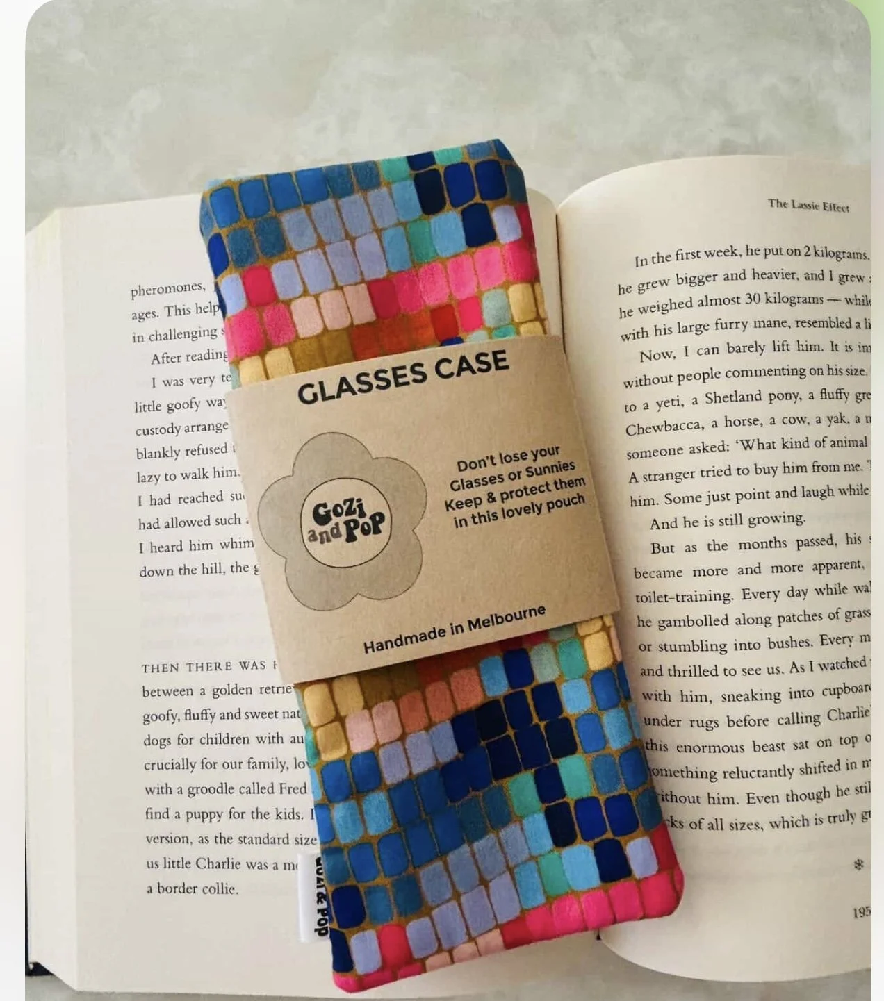 NEW Anna Blatman  Croc skin  Sunglass Pouch