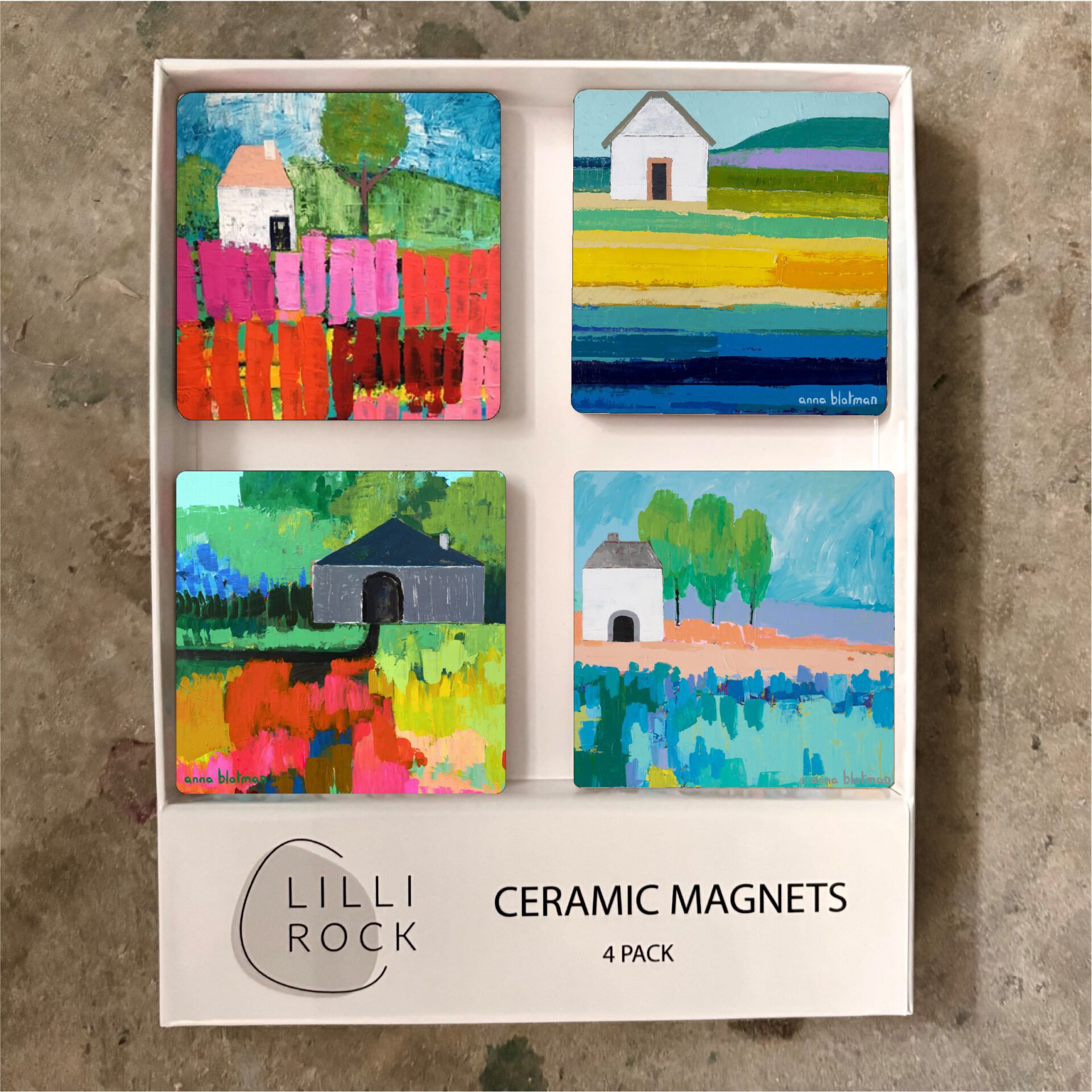 NEW Anna Blatman House  Magnet Gift Set