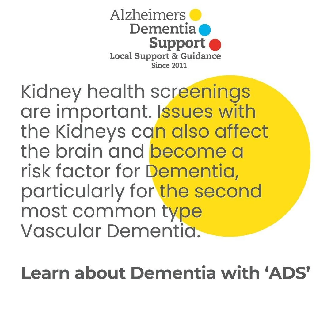 The presence of high levels of the protein albumin (and indicator of damage to the kidneys) can make our urine appear foamy. Swedish researchers have found that having foamy urine (that can make us go to the toilet more often) could raise the risk of