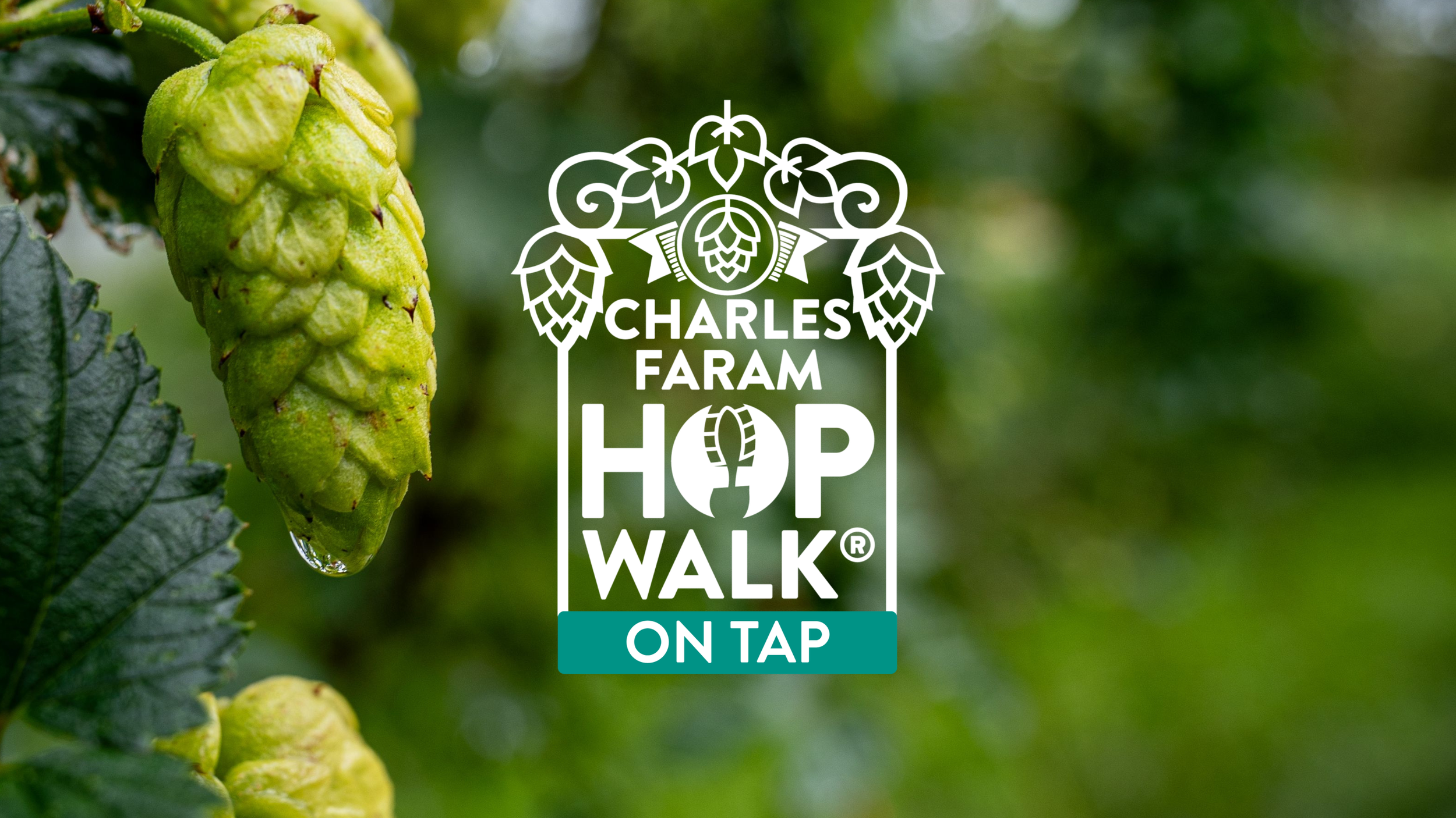 Charles Faram Hop Walk® On Tap - A Special Experience Day for Beer Unlocked
