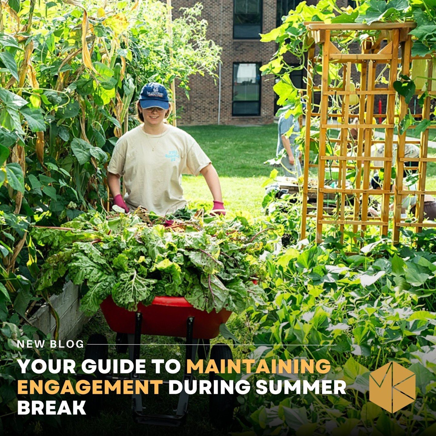 With students scattered across the globe and many campus activities on hold, how can colleges keep their communities connected and involved? Find out how institutions can maintain engagement during summer break and keep their students connected, insp