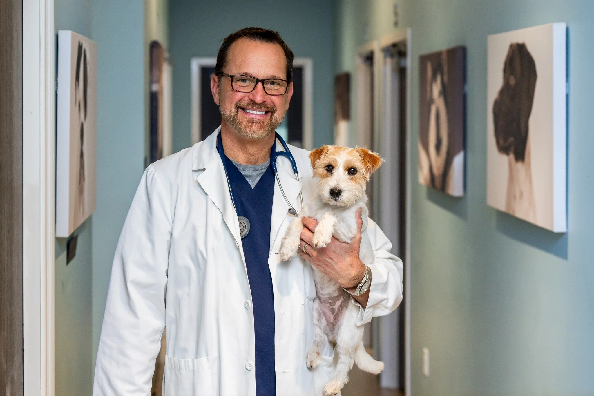 A sneaky peek of our friends (two and four legged alike!) at North Penn Animal Hospital! Stay tuned for a full blog coming soon 🐶🐱