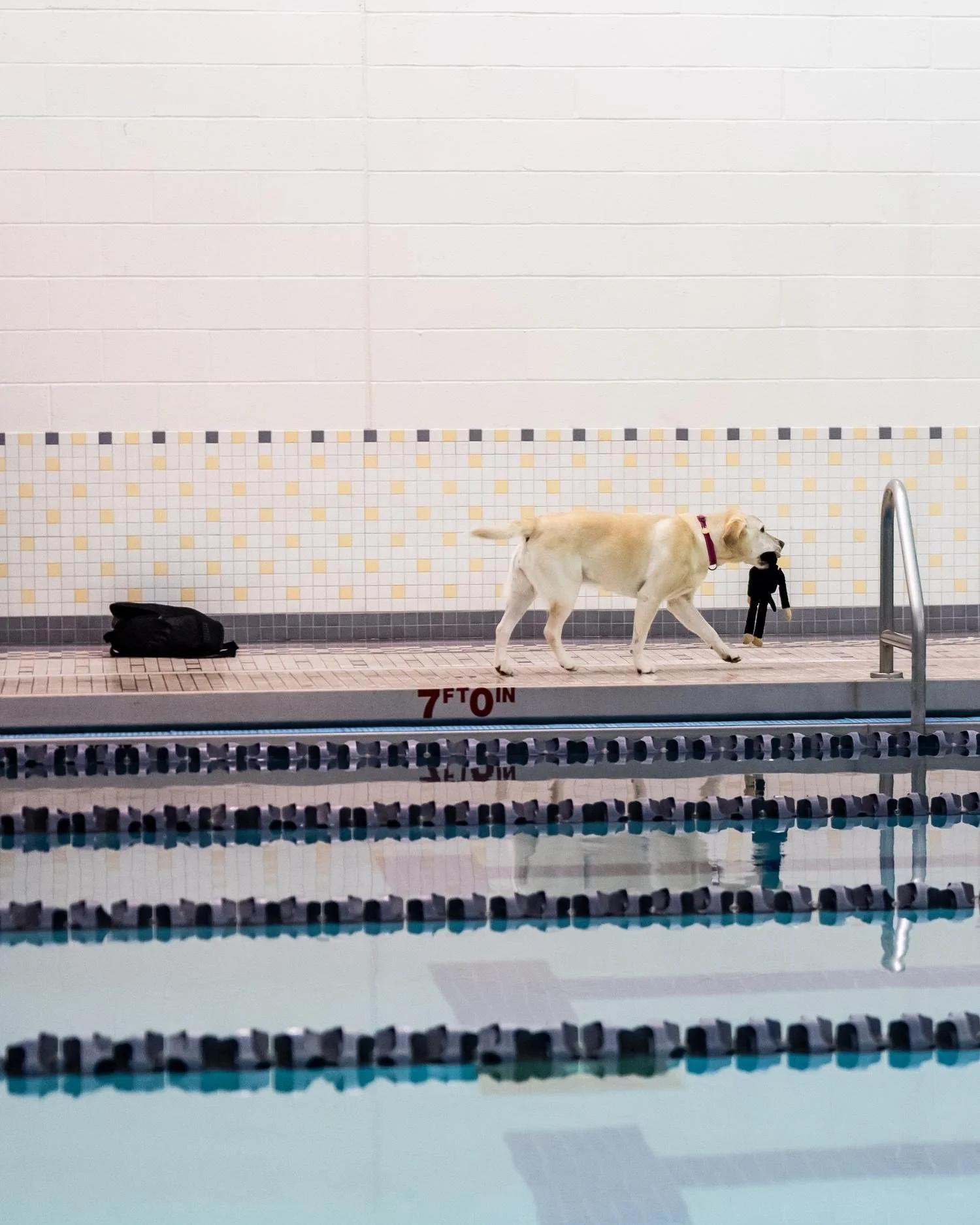 If there is a dog at a shoot - you know I'm going to document it.