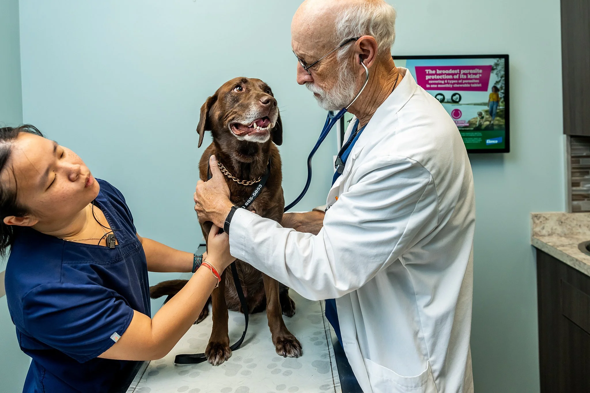 Okay be honest, were you pickier about your pet's veterinarian or your OWN doctor. Just the way this Good Boy looks at Dr. Maxwell would be enough to sell me!