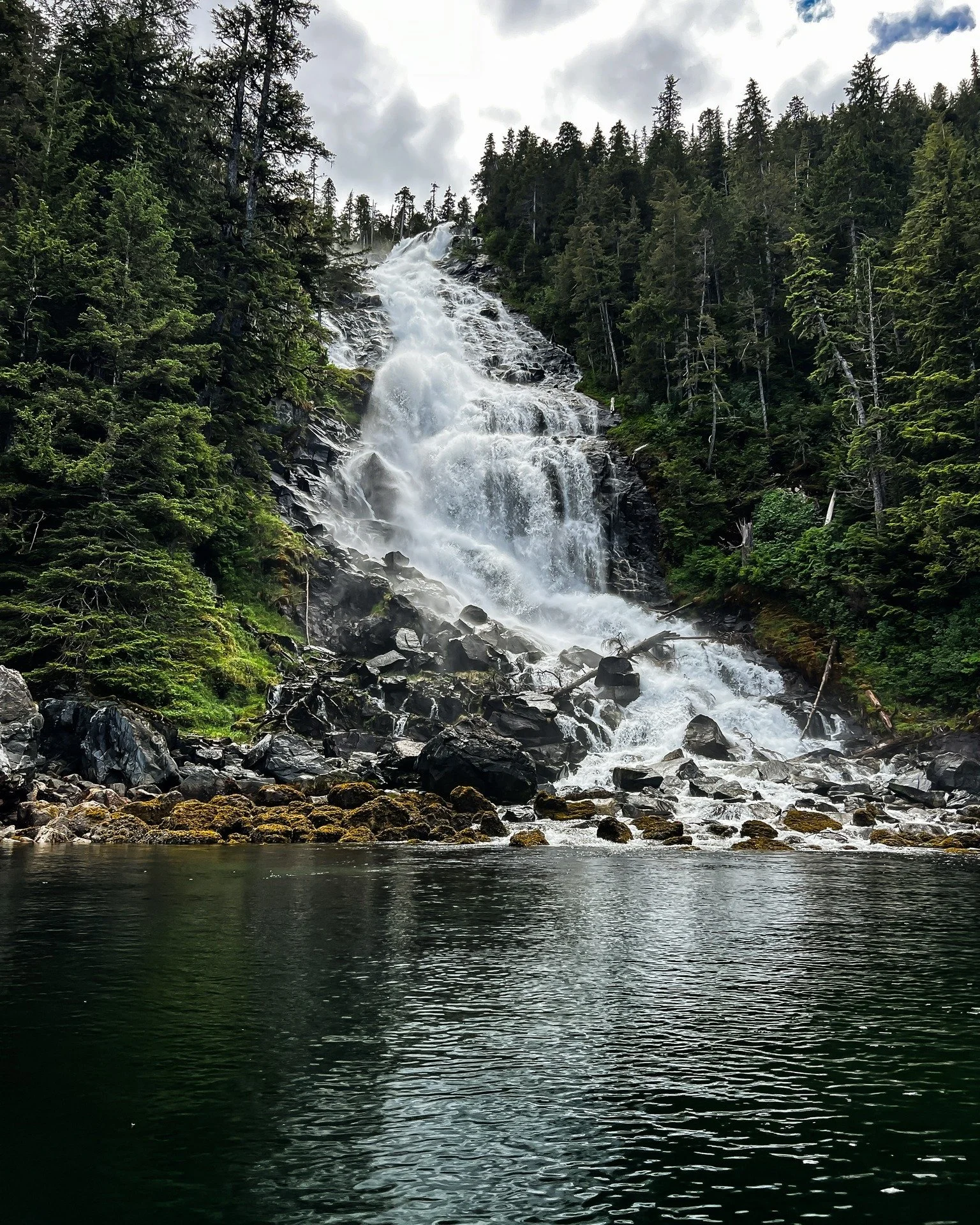 Earth Day, every day.