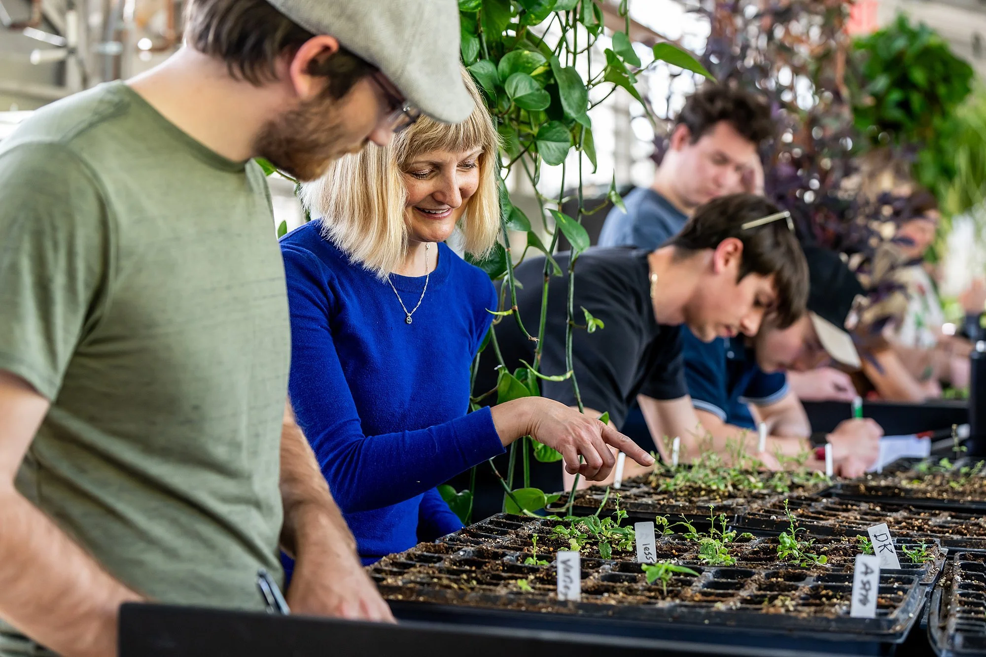 260427-plant-breeding-6182_WEB.jpg