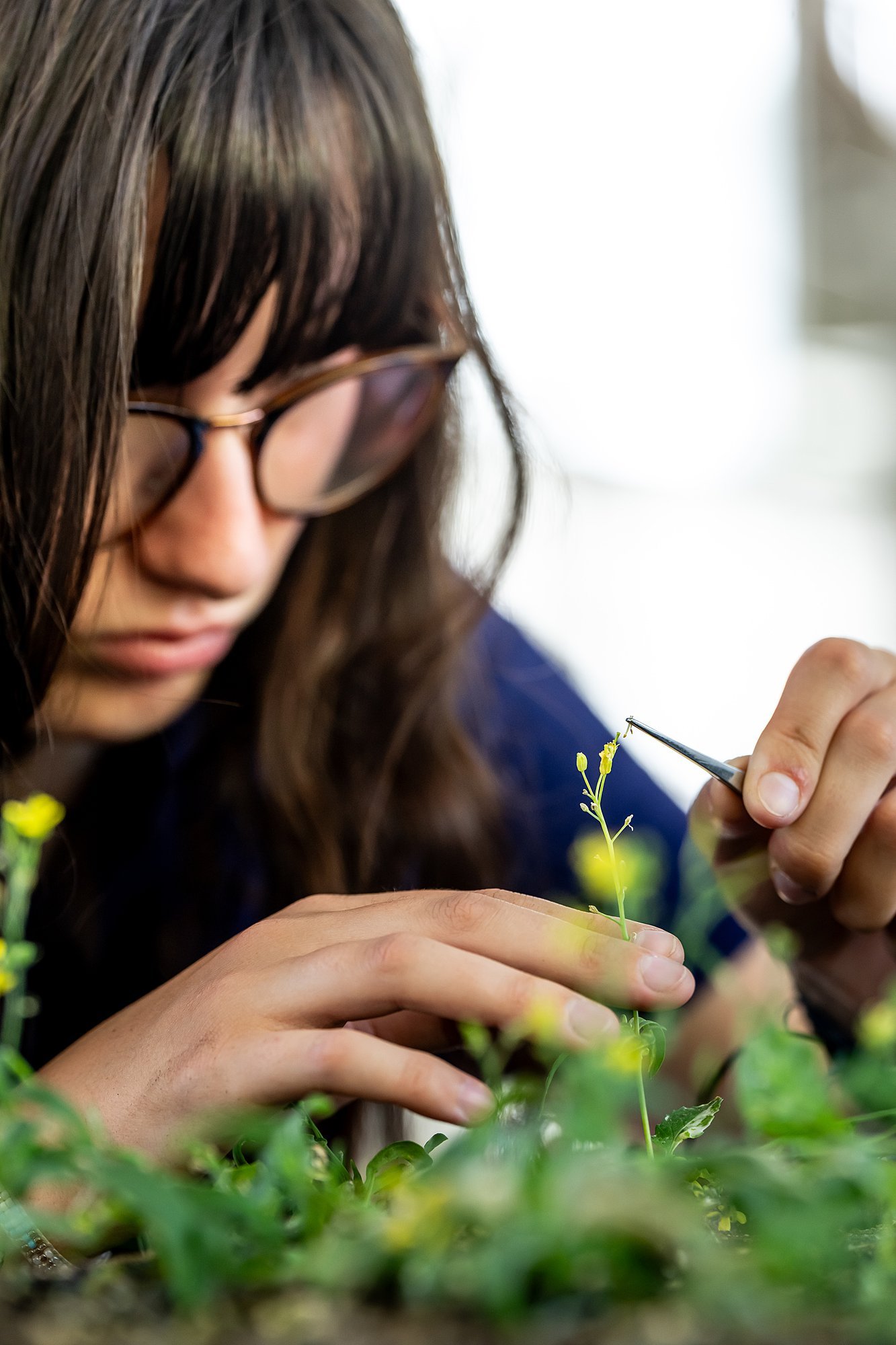 260427-plant-breeding-5937_WEB.jpg
