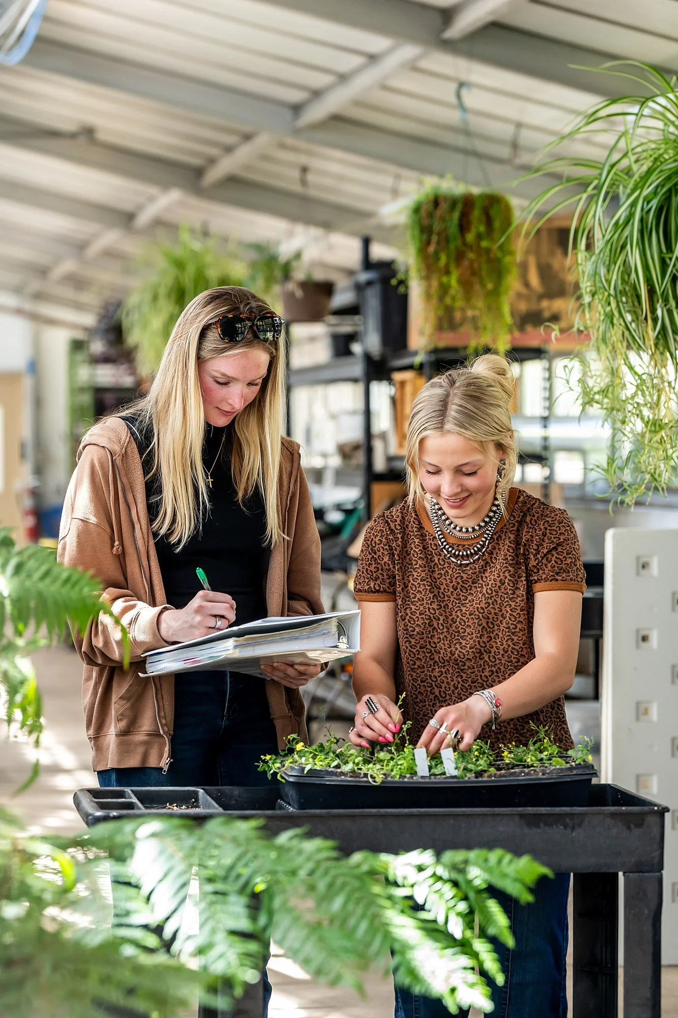 260427-plant-breeding-6077_WEB.jpg