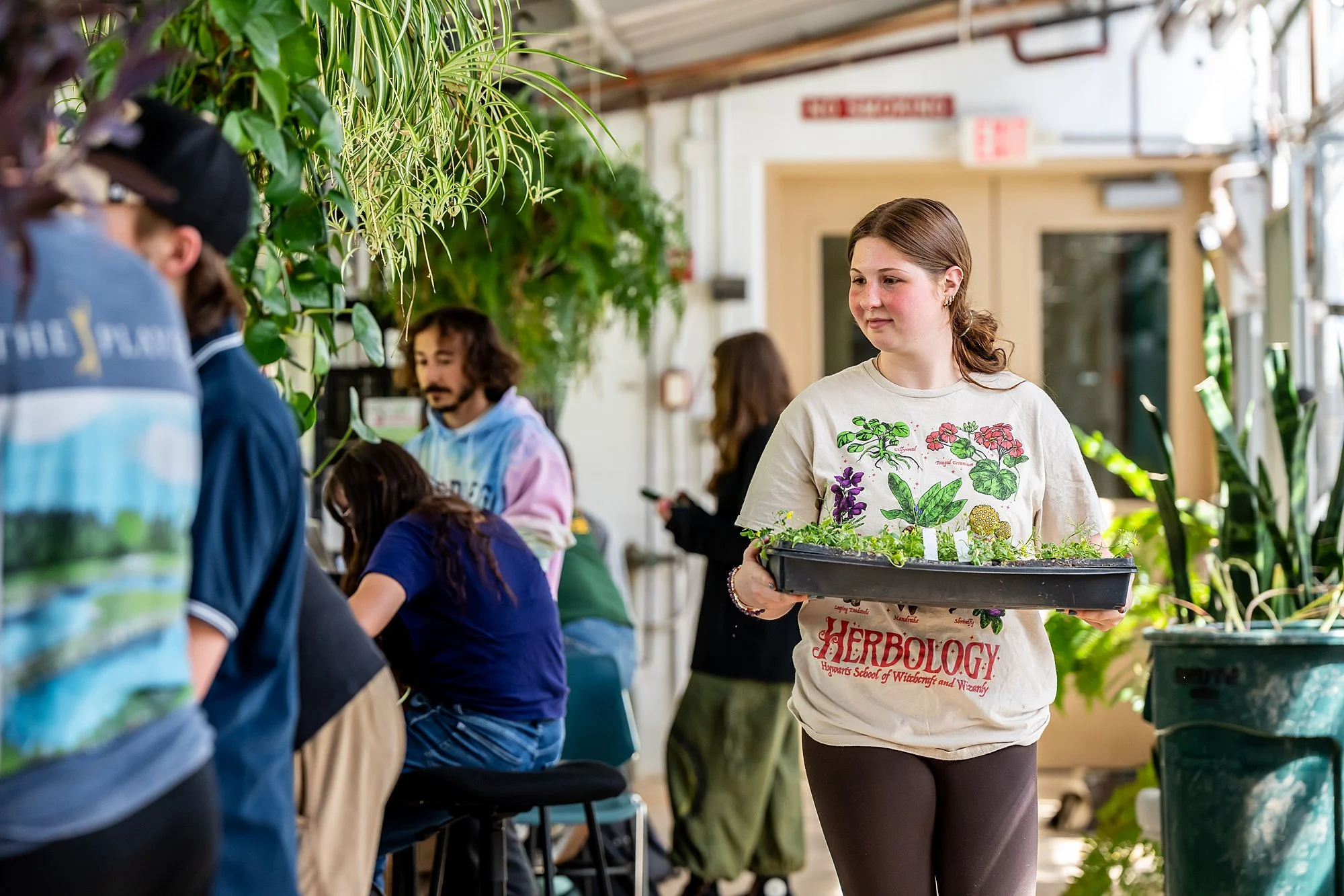 260427-plant-breeding-6144_WEB.jpg
