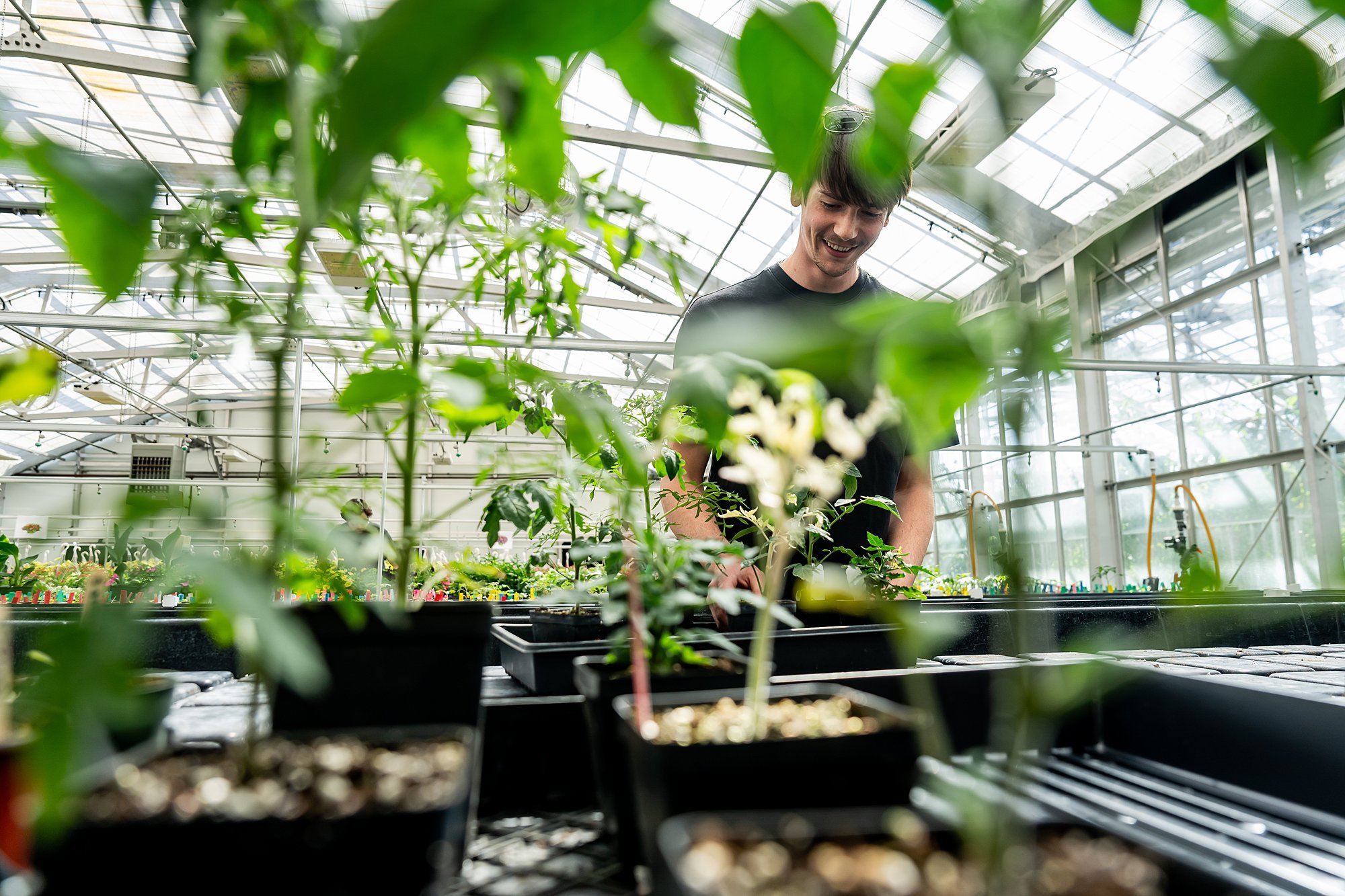 260427-plant-breeding-6497_WEB.jpg