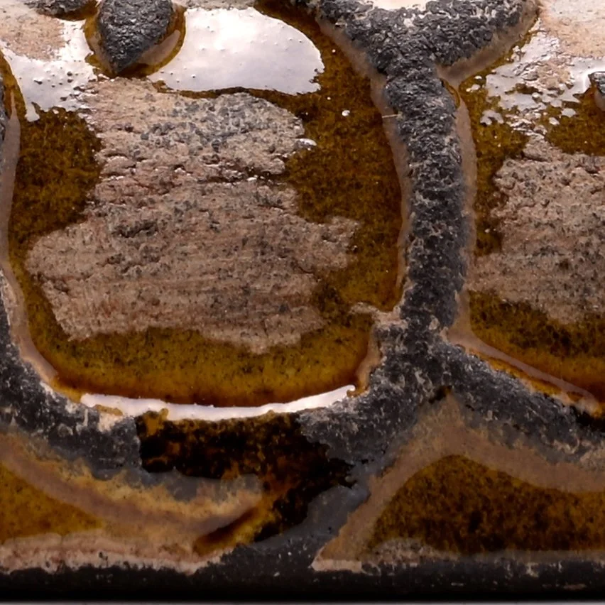 Littkle-boar (1).jpeg