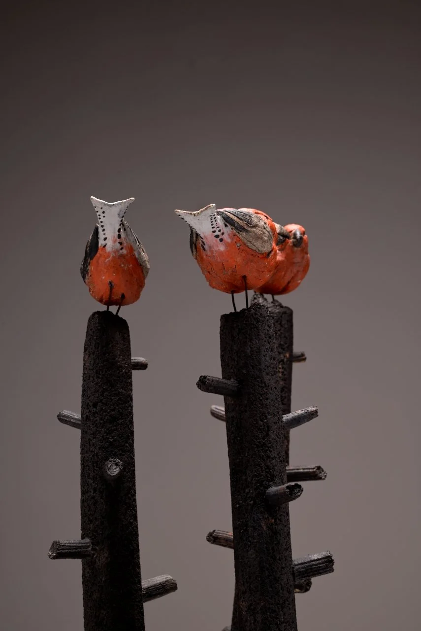 crossbills (12).jpeg