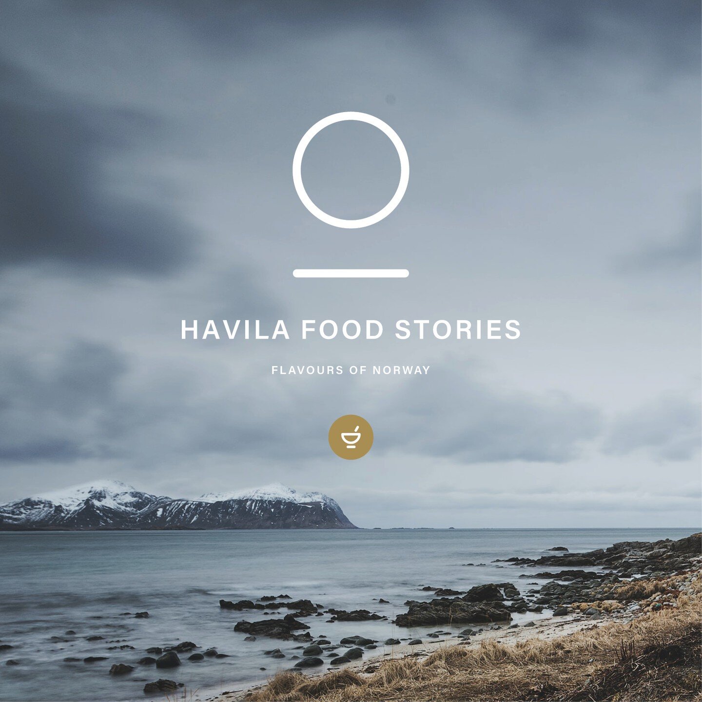 Har du segla med @havilakystruten i sommar? D&aring; har du gjerne sett litt av det vi har gitt form til om bord; logoar og ikonbibliotek, skiltprogram, matkonseptet &laquo;Havila Food Stories&raquo; og slips, sjal og skjerf til uniformene. I botnen 