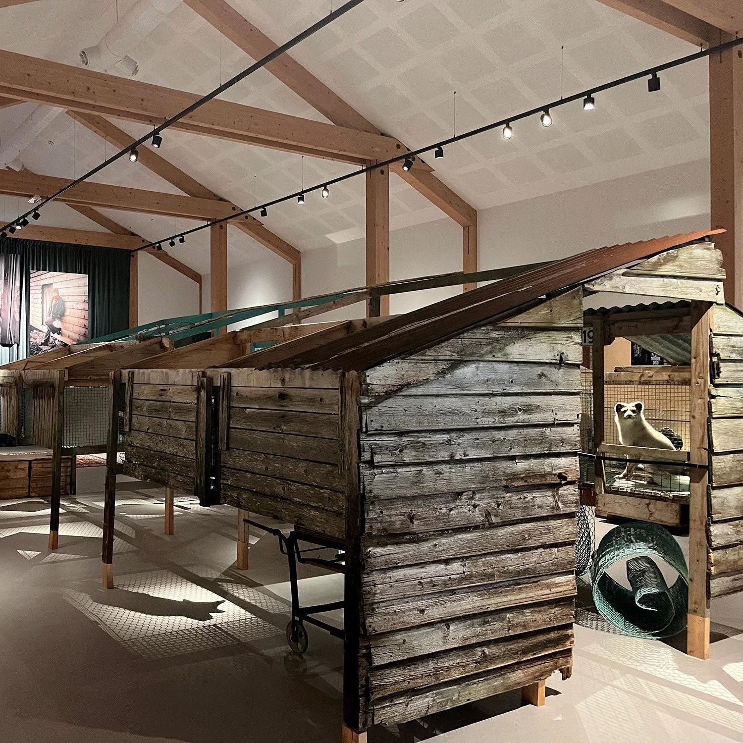 4. juni opna den nye utstillinga Pelstid p&aring; Sunnm&oslash;re museum i &Aring;lesund. Utstillinga fortel ei spanande soge der Sunnm&oslash;re stod sentralt i utviklinga av pelsdyrn&aelig;ringa her i landet. 🦊

Tegneren har levert design p&aring;