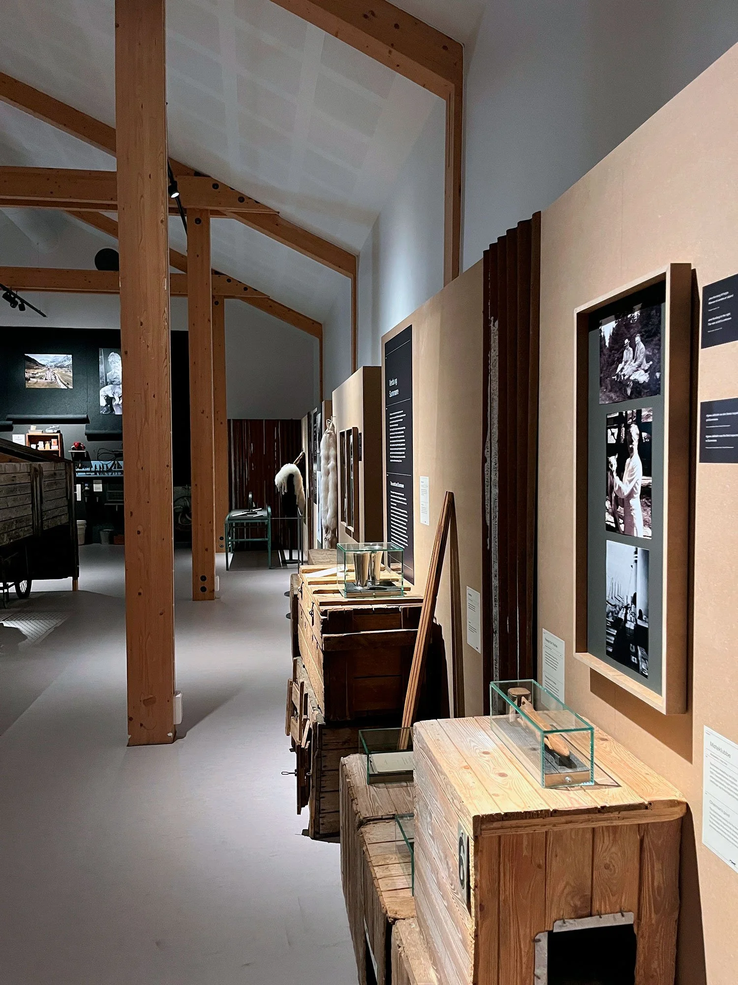 Pelstid hjå Viti og Sunnmøre museum i Ålesund