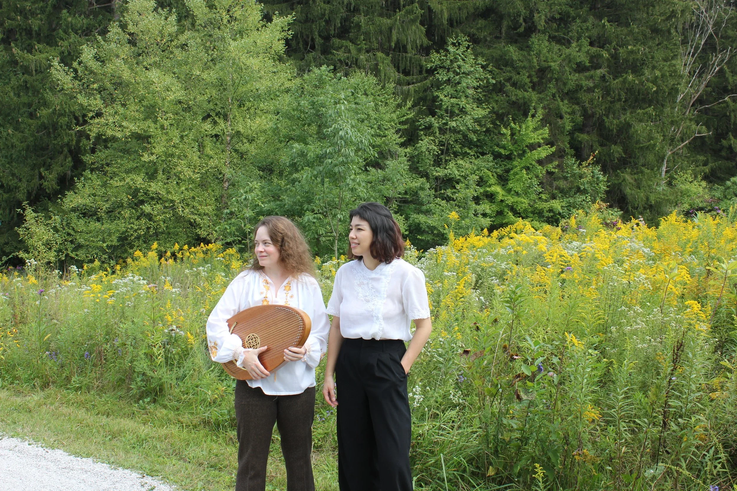 Wanderings at the Brasswood Inn in P-Town!