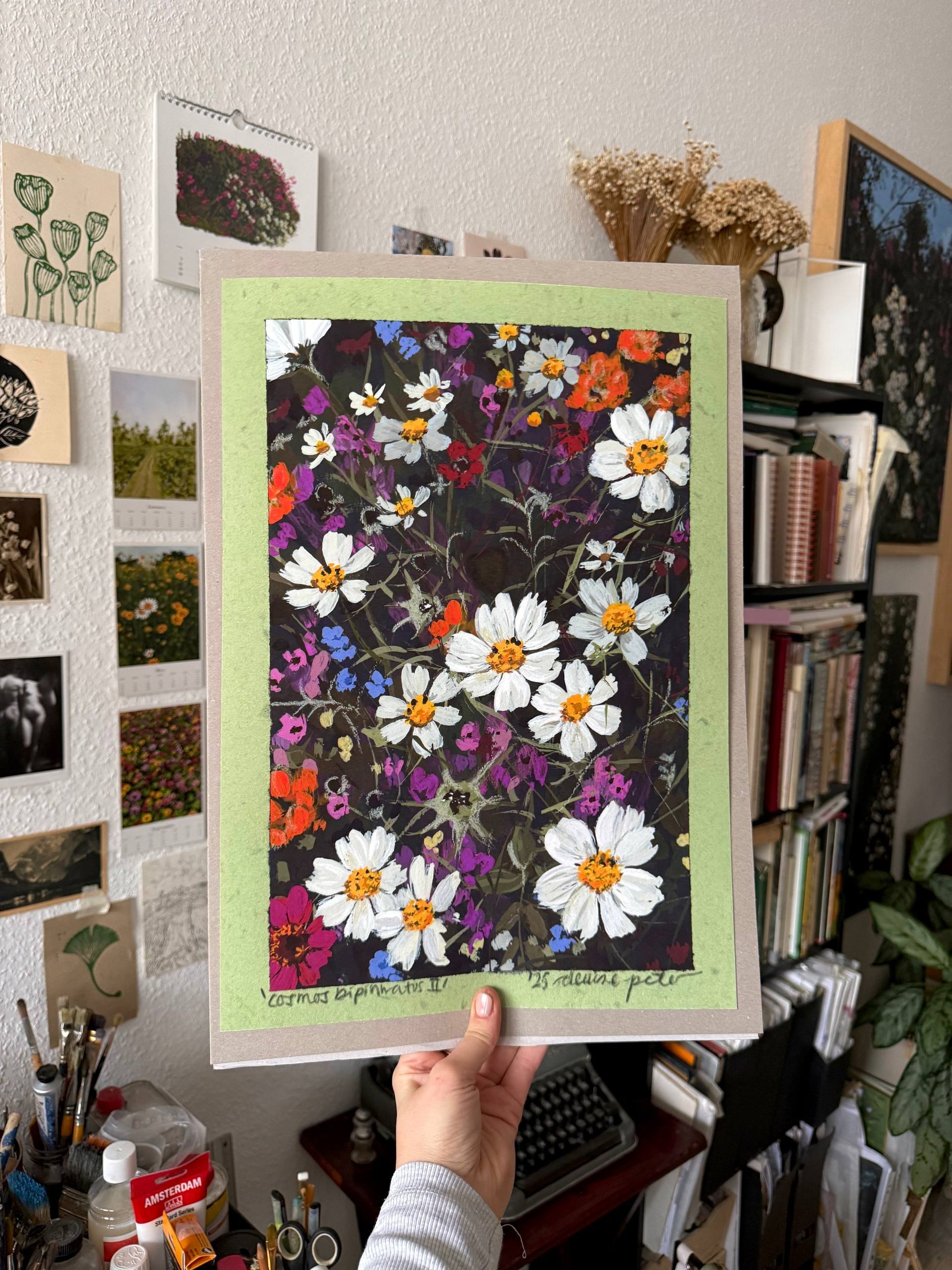 Cosmos bipinnatus II print